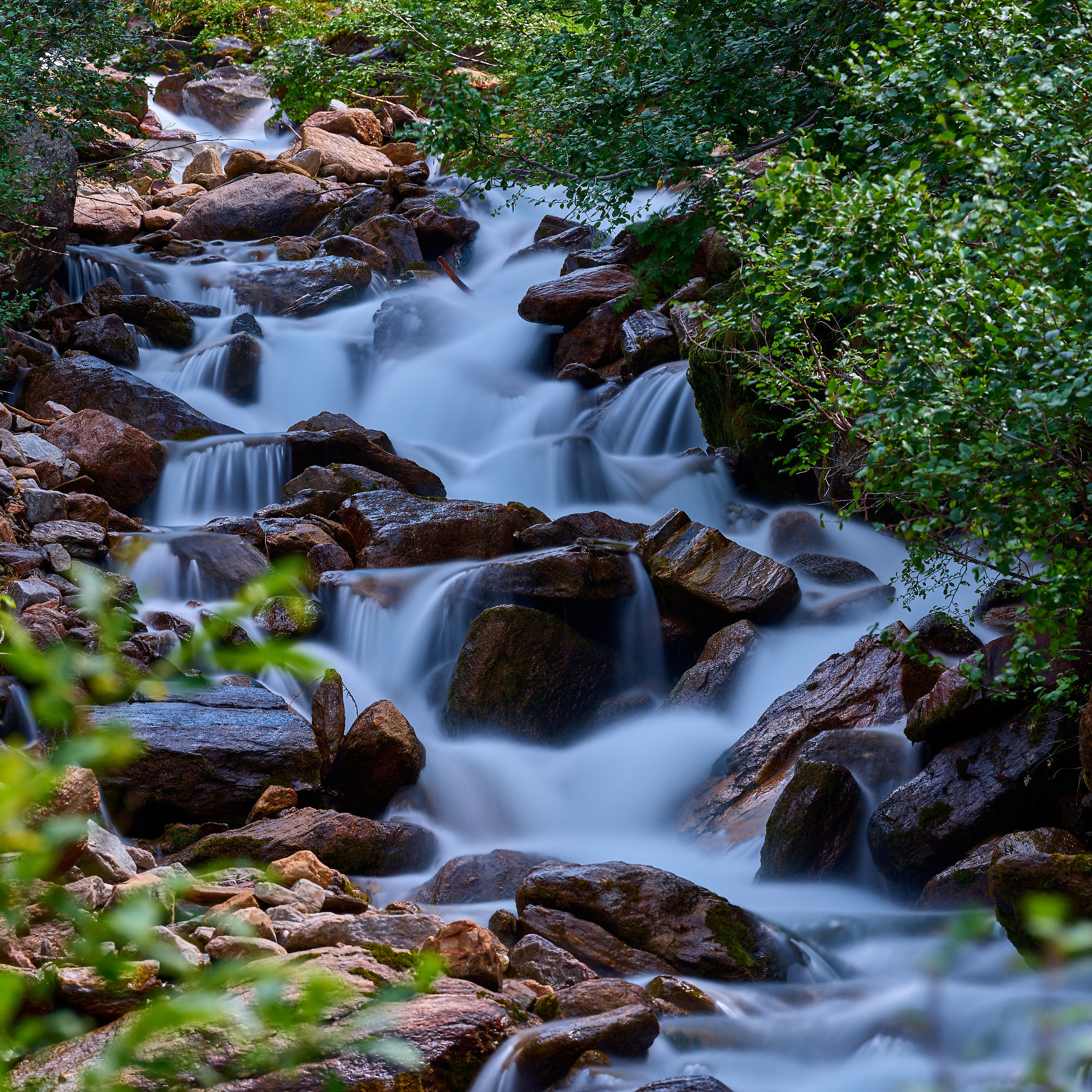 Creek in the Villgratental