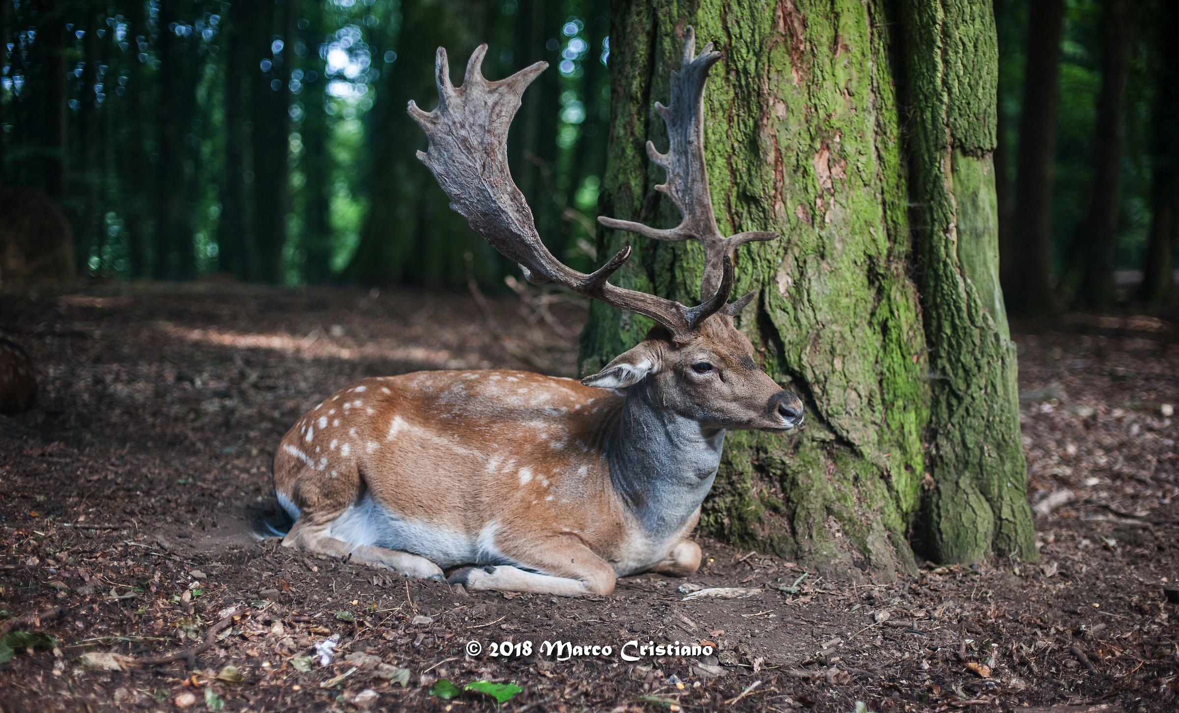 Quando la Natura ti lascia senza fiato..
