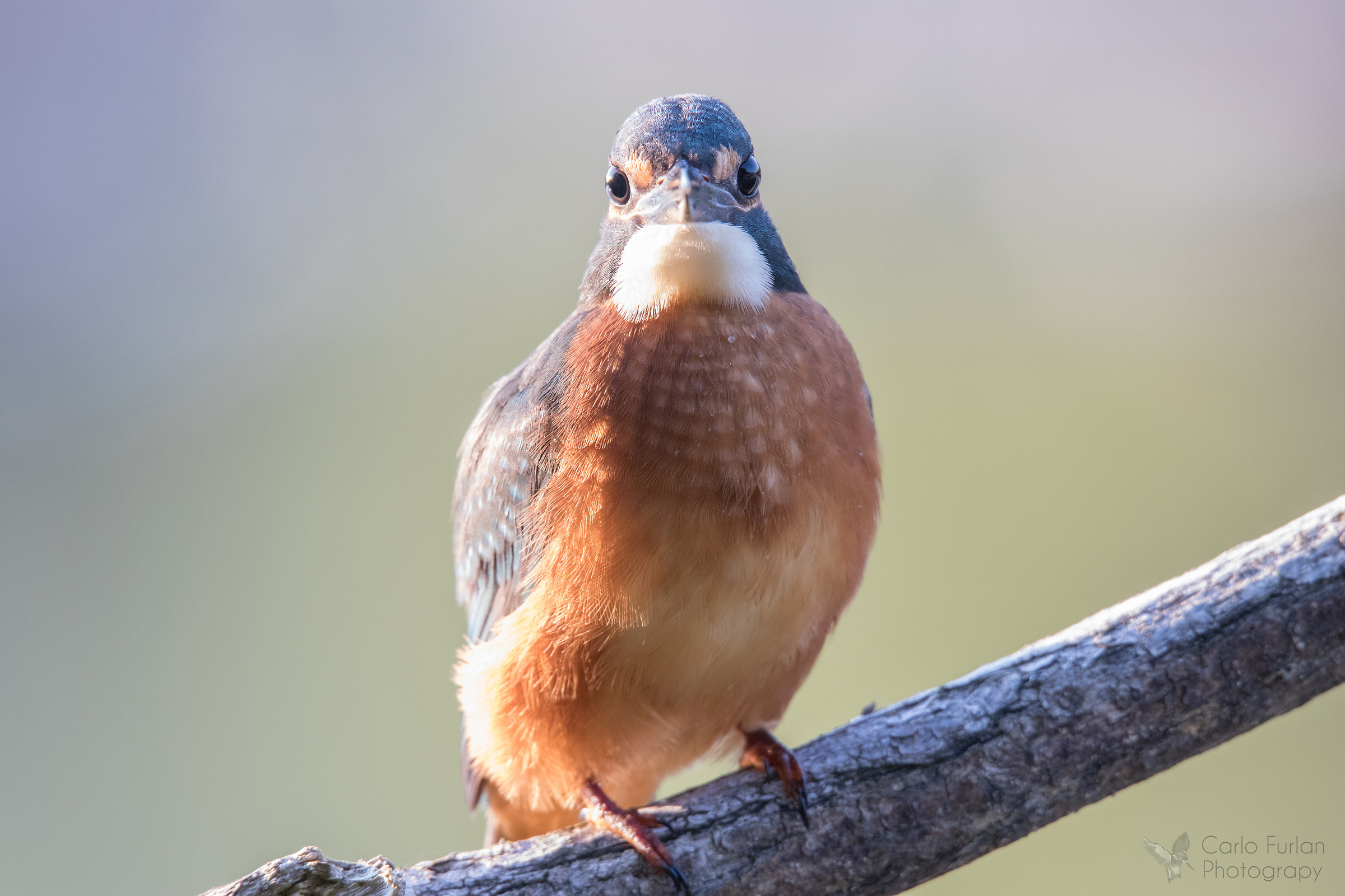 What are you looking at?