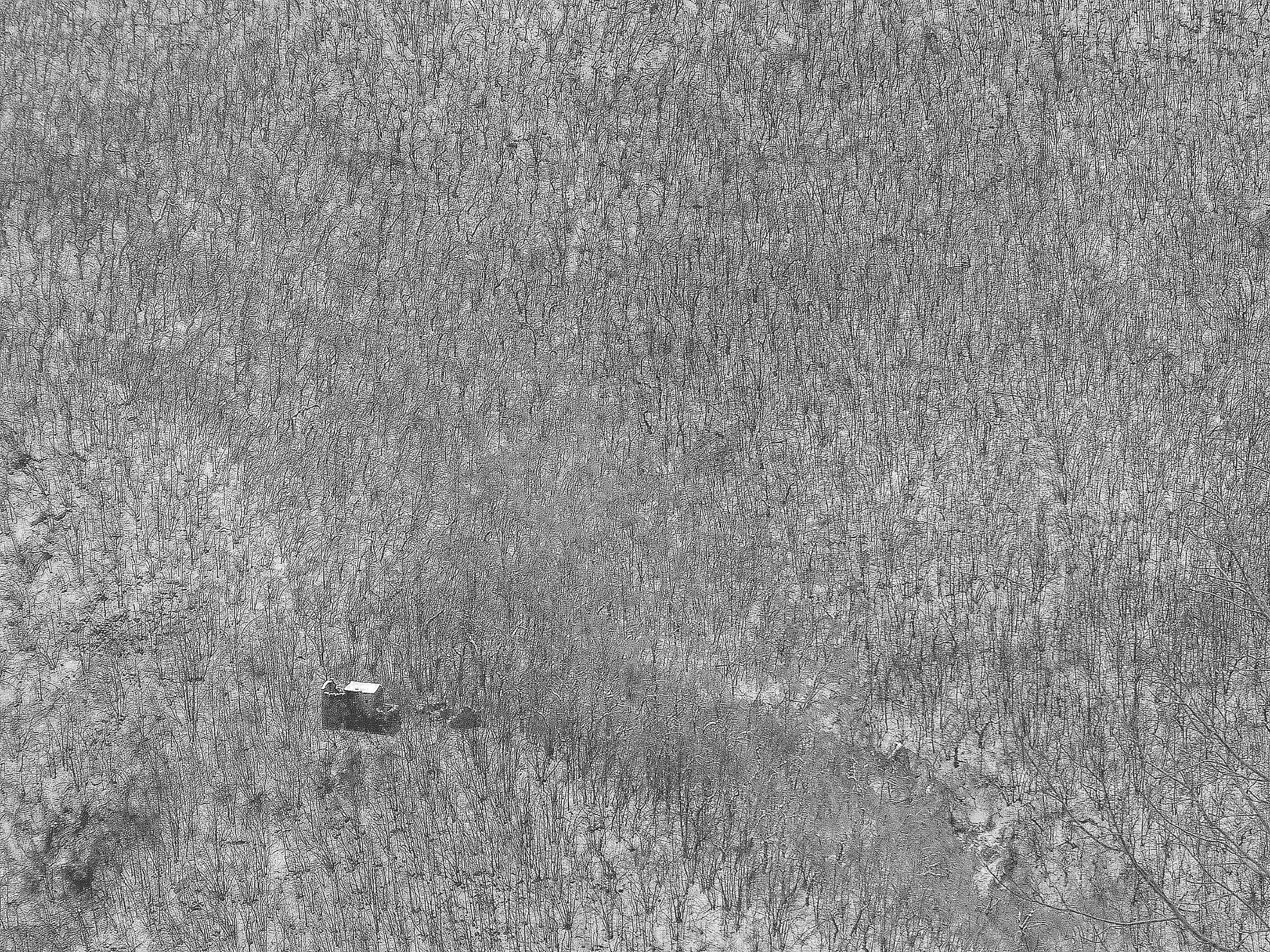 The House in the woods