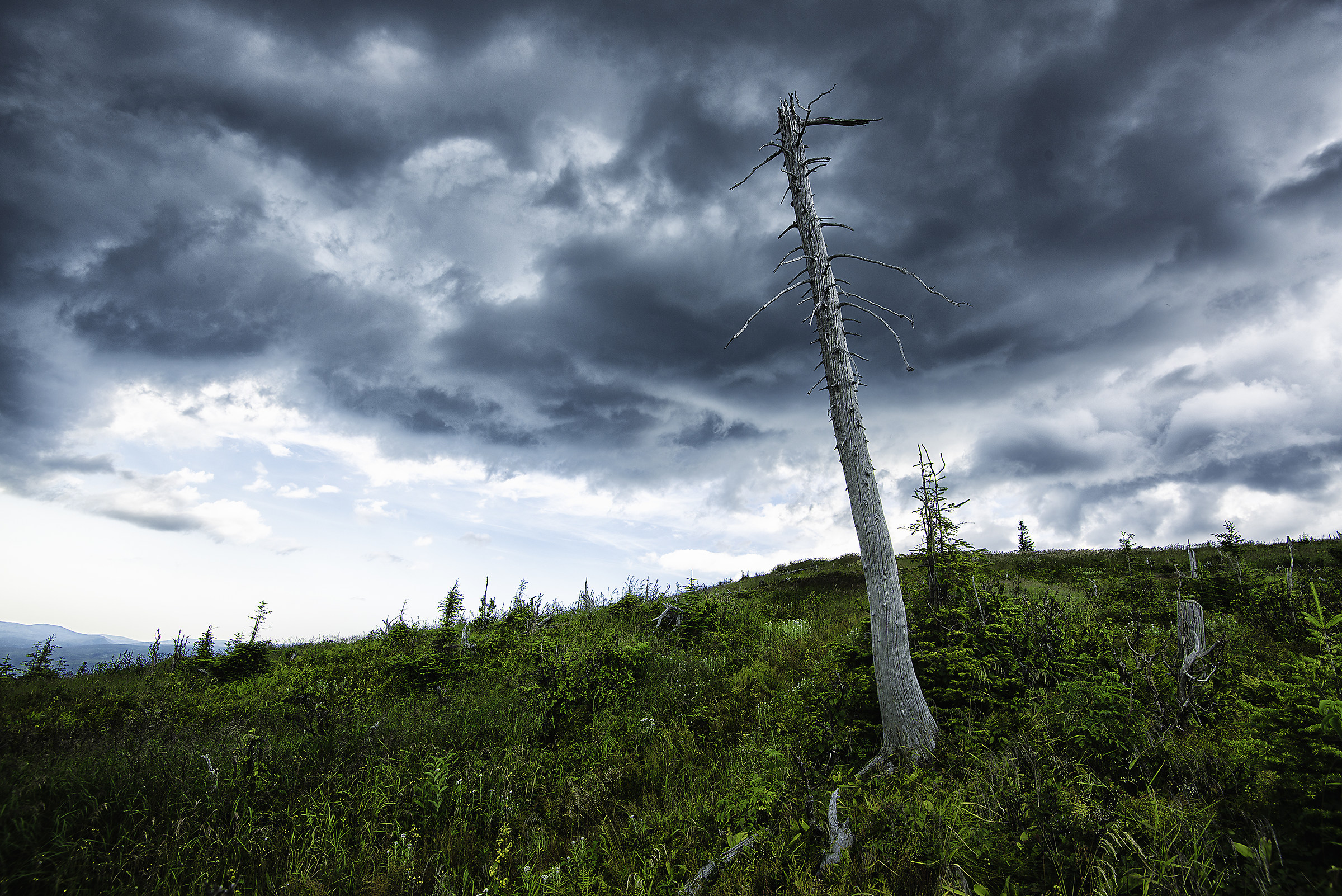 Gaspesie National Park, Quebec