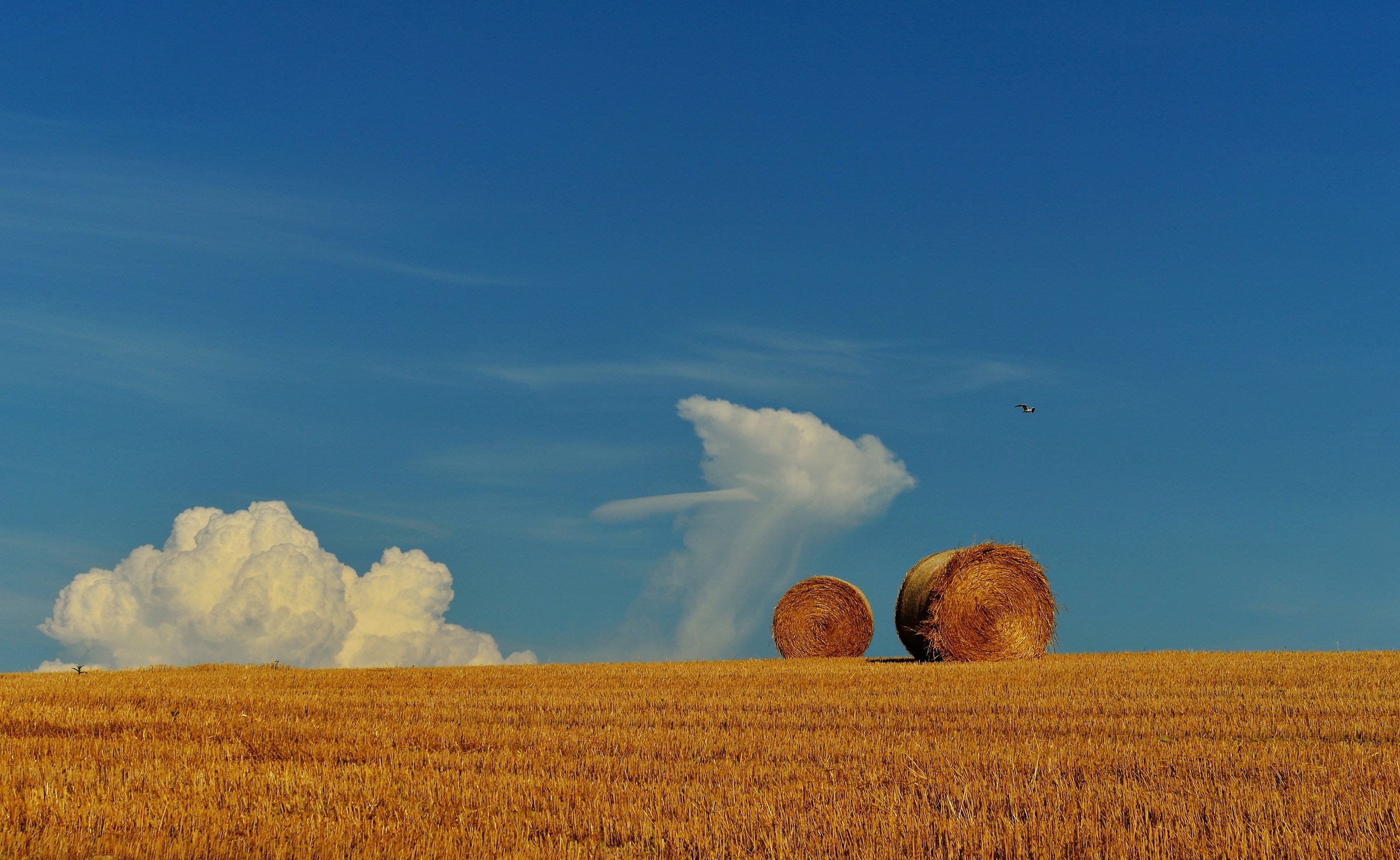 Clouds & Bales