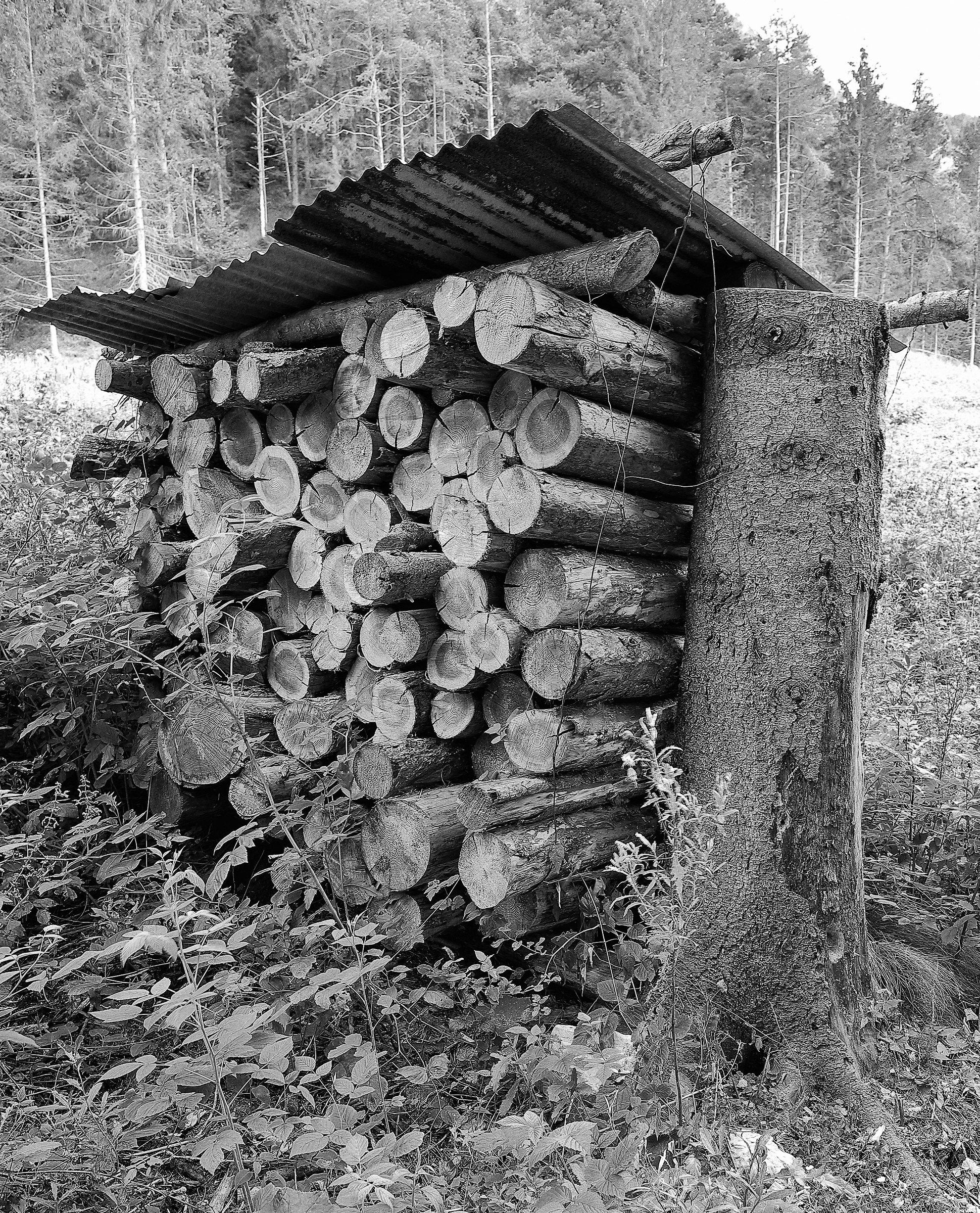 Prima mi hanno tagliato...