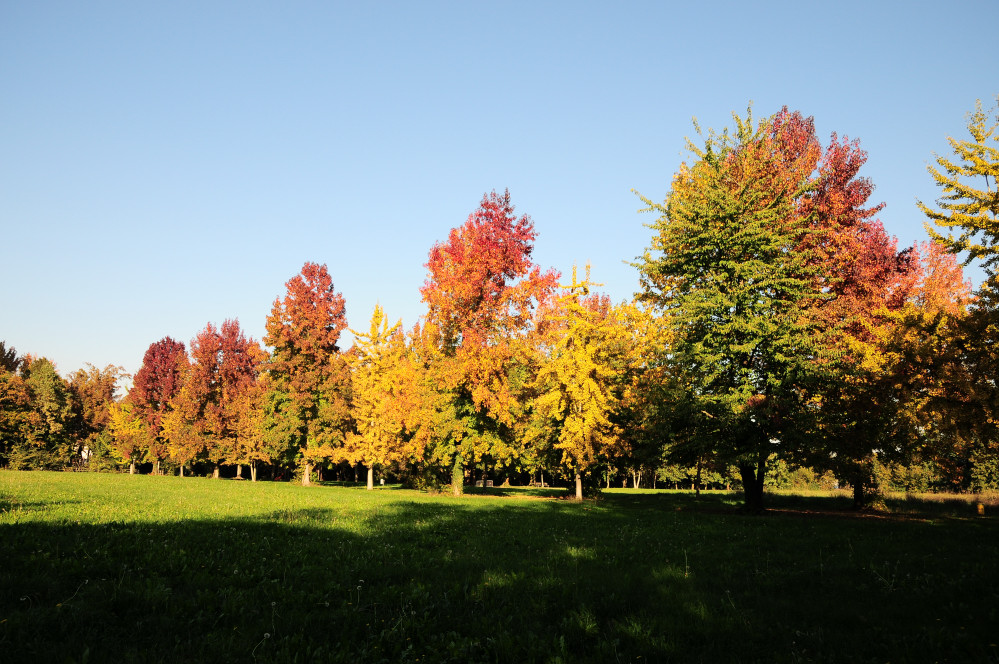I colori dell'autunno