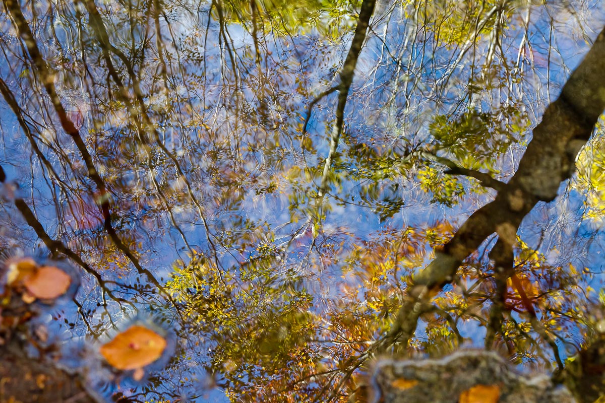 Reflections of Autumn