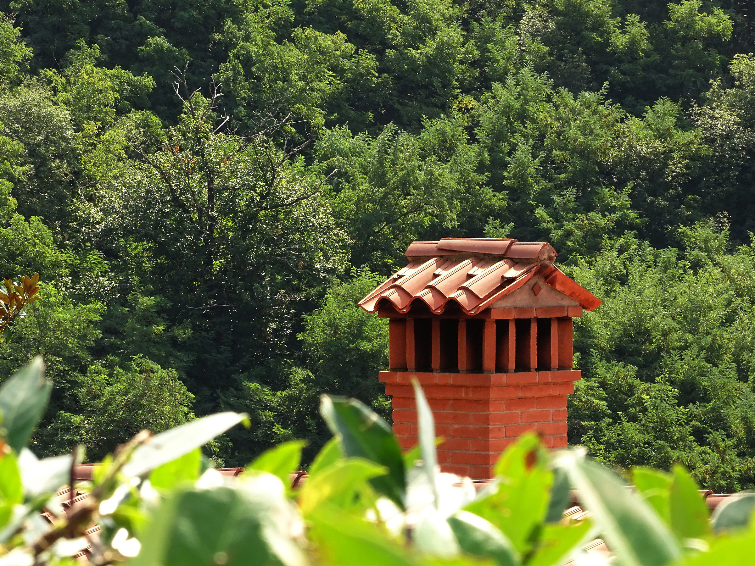 Il camino durante il cammino