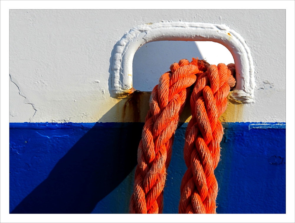 Snooping on the pier... _ 6