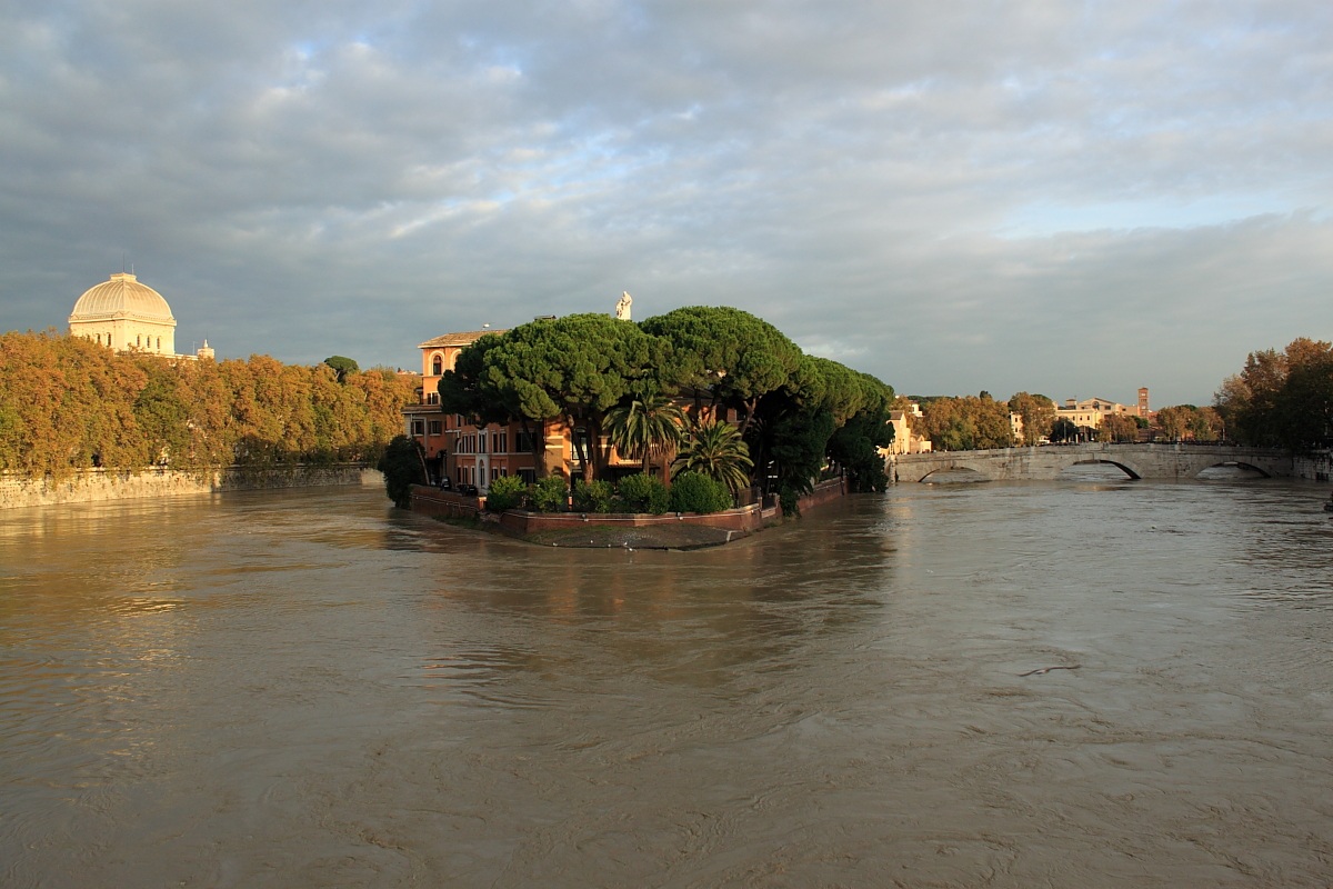 Sinagoga/Isola Tiberina - Roma