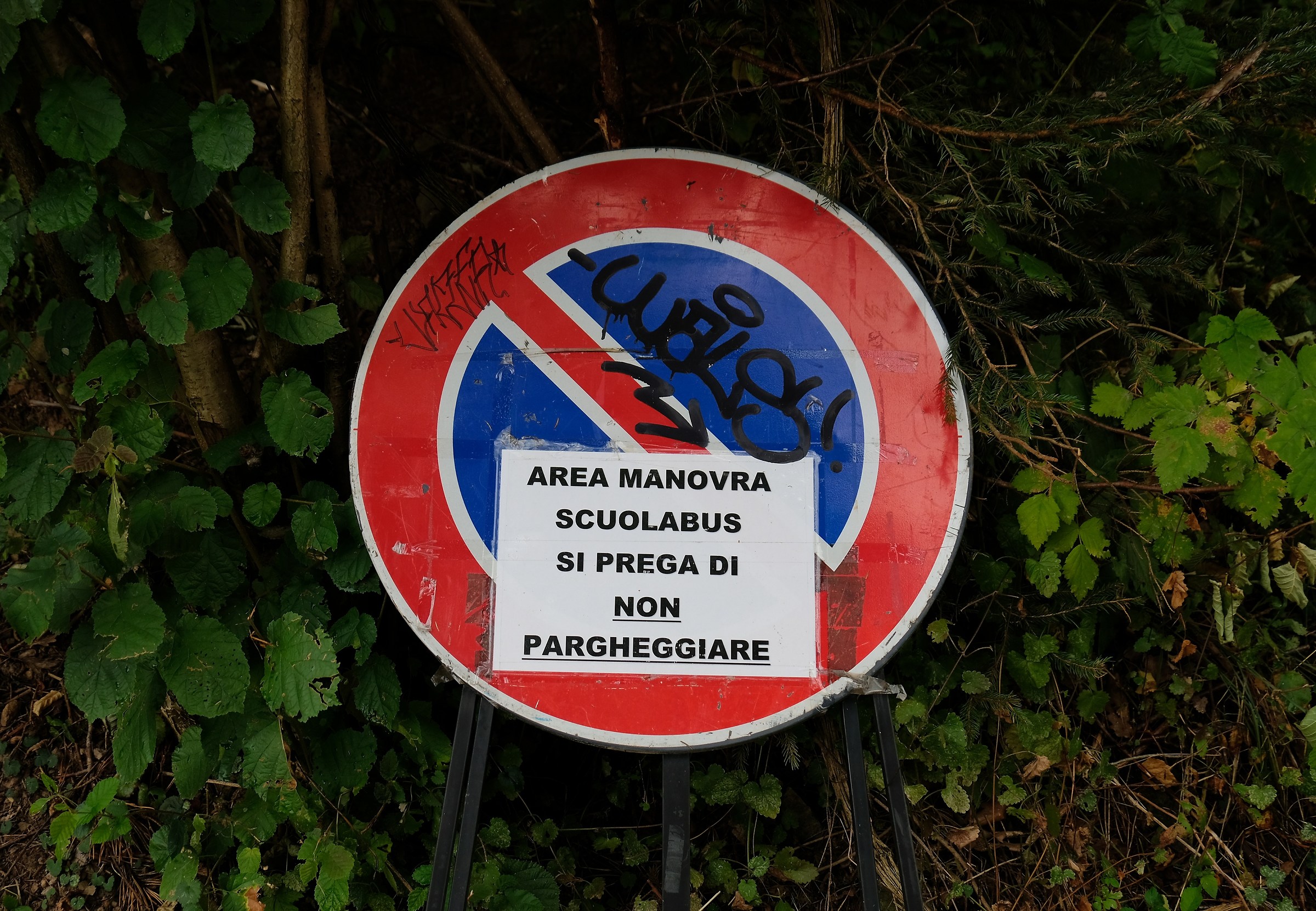 Avrà frequentato la stessa scuola?