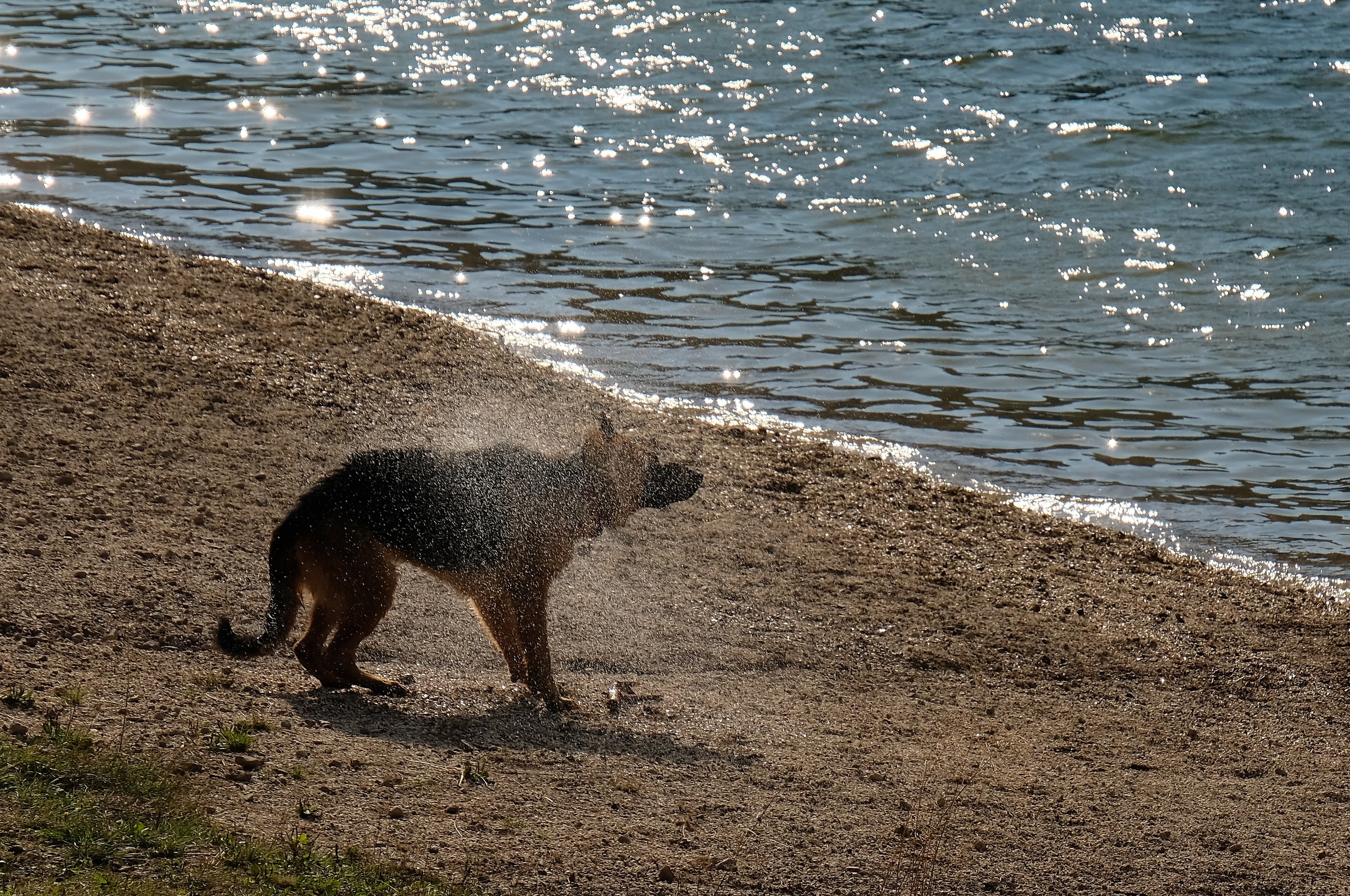 Scrollatina dopo il bagno