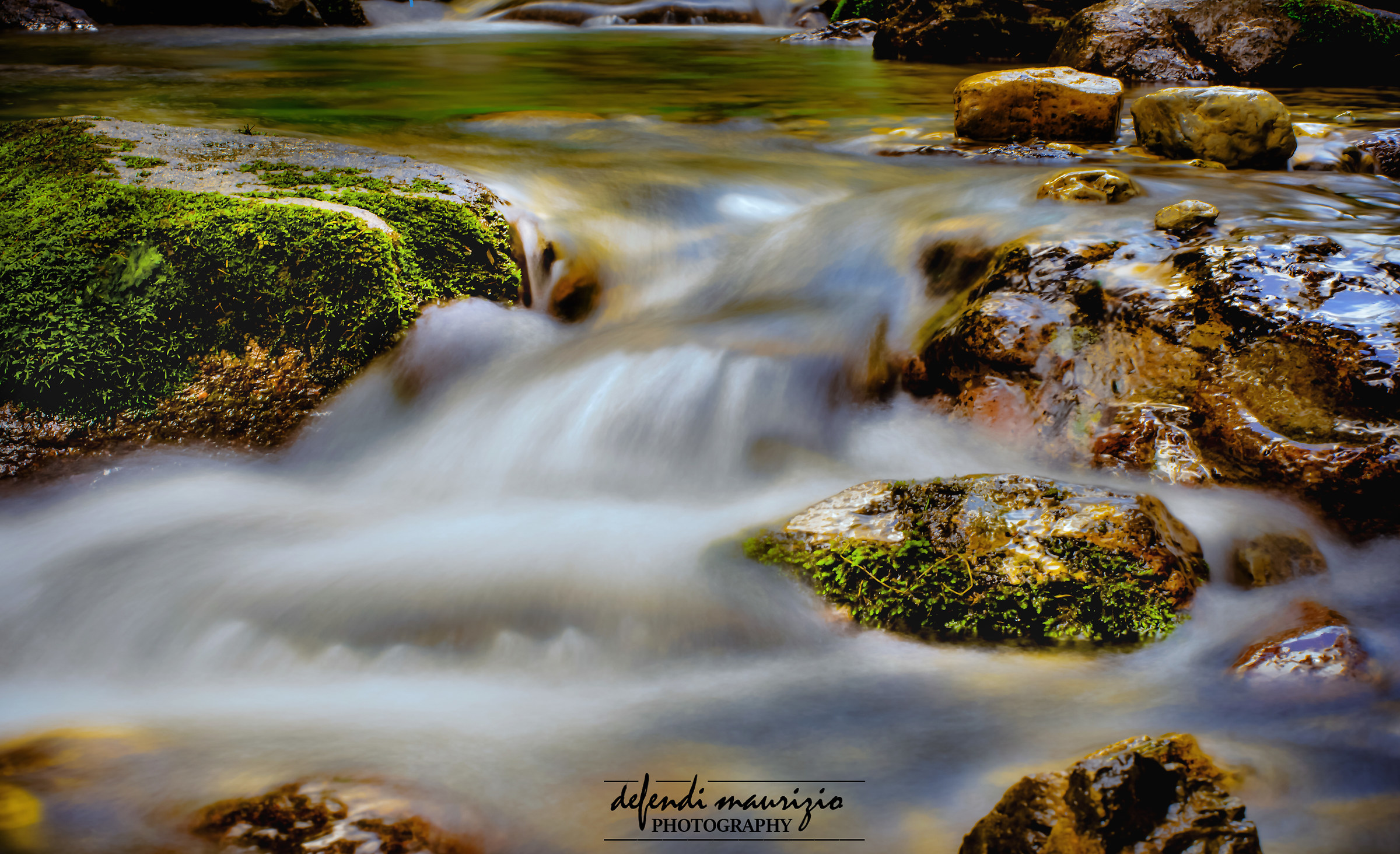 Area pic nic roncobello