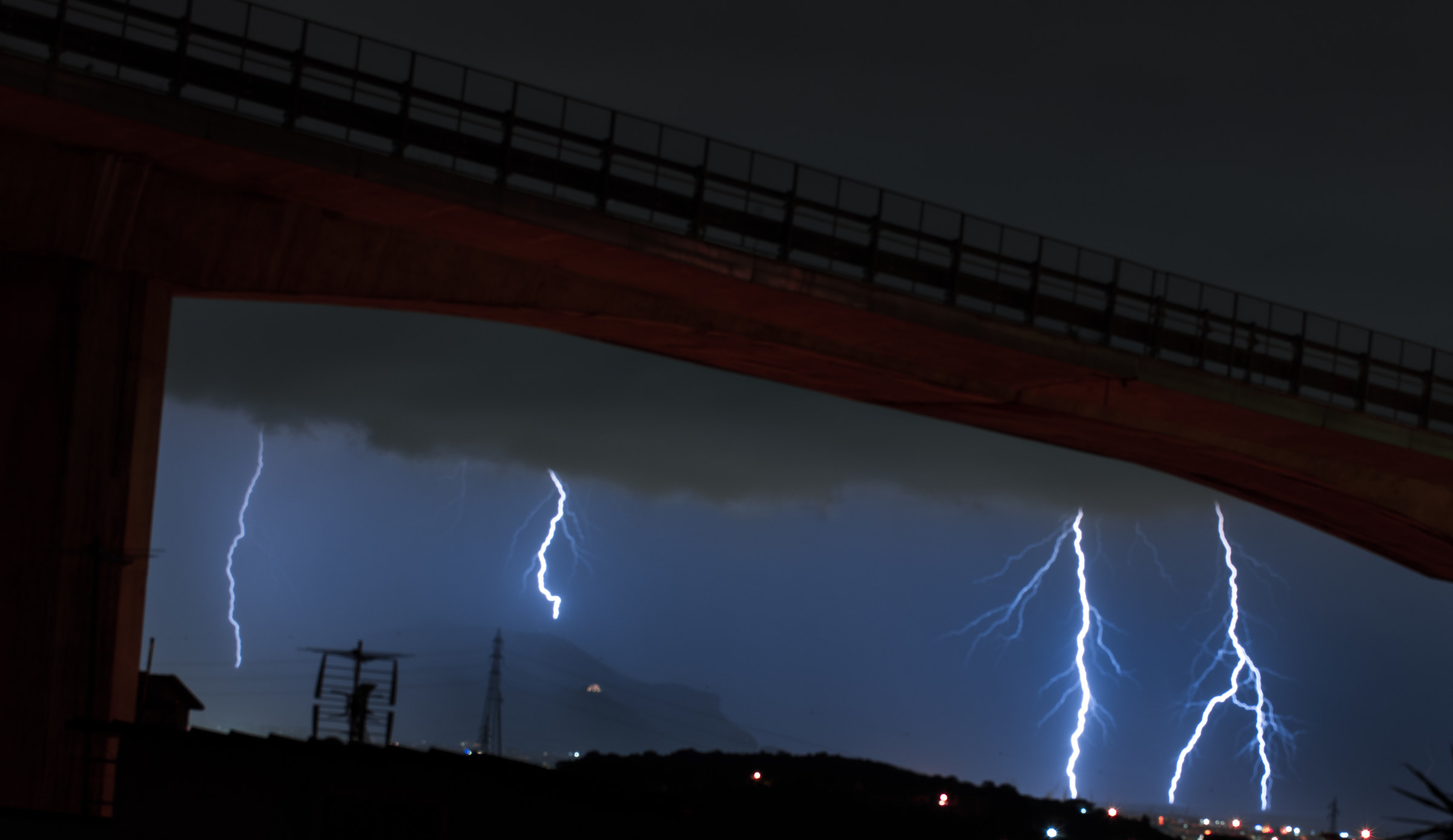 Colpo di fulmine per Palermo