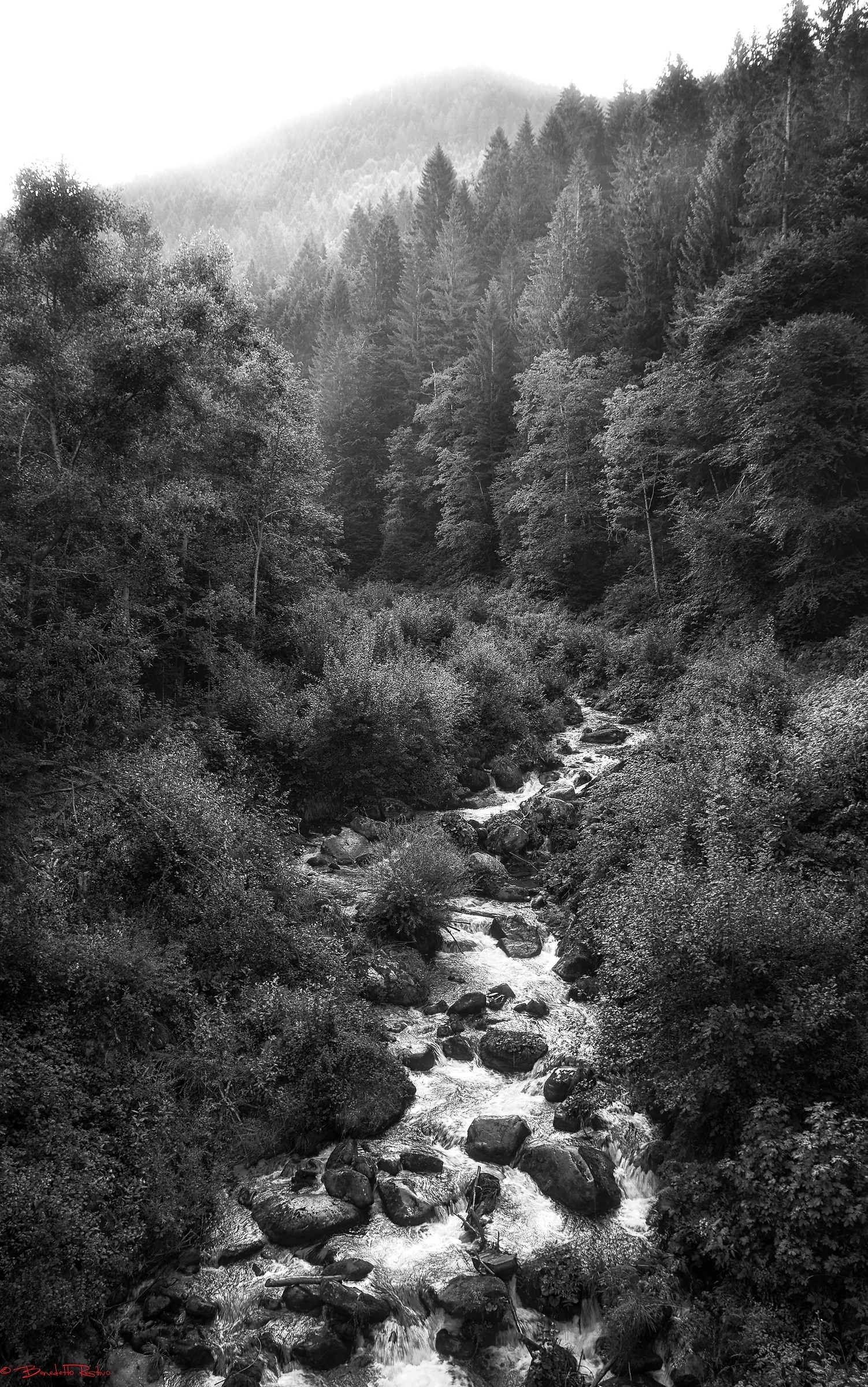 sfumature di grigio.....