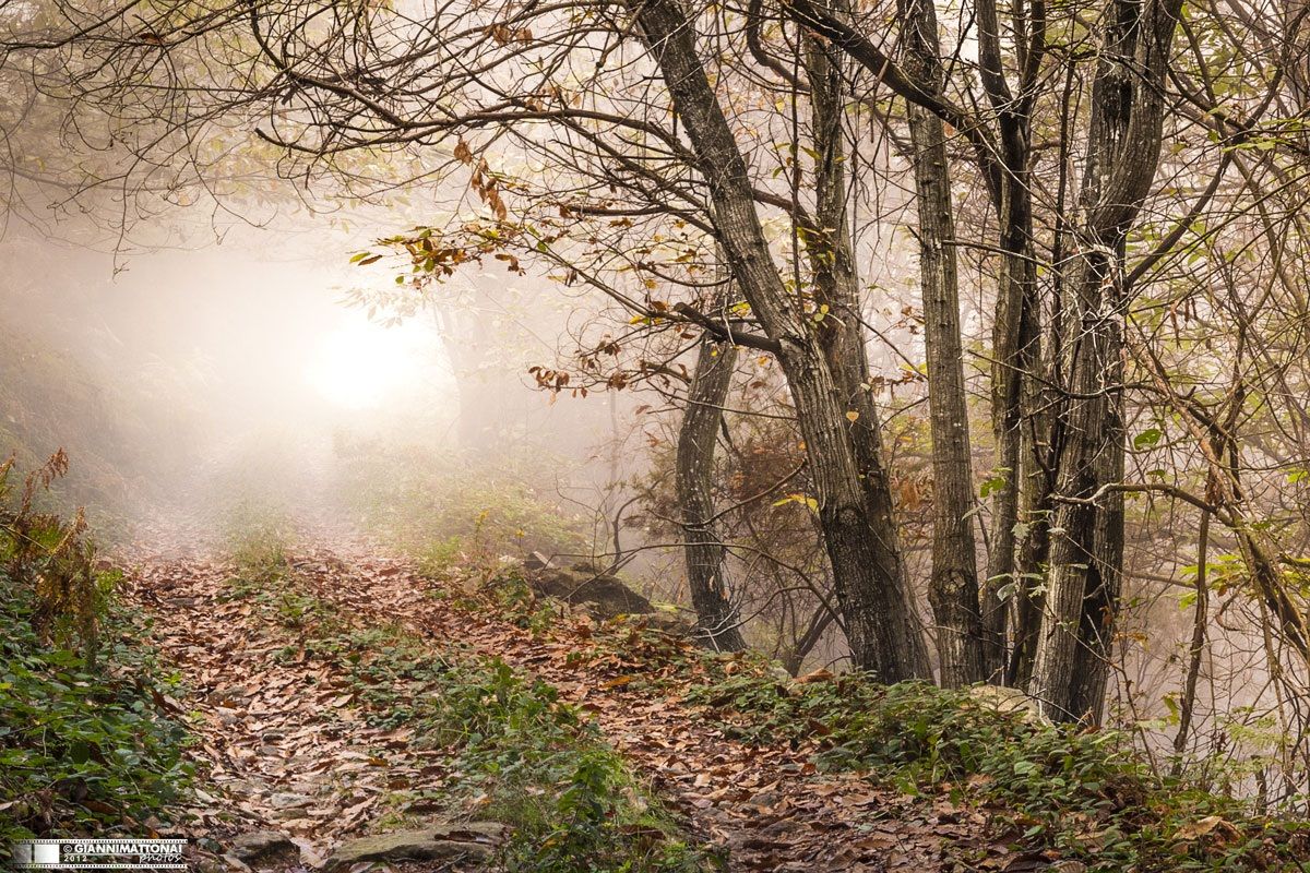 semplicemente autunno