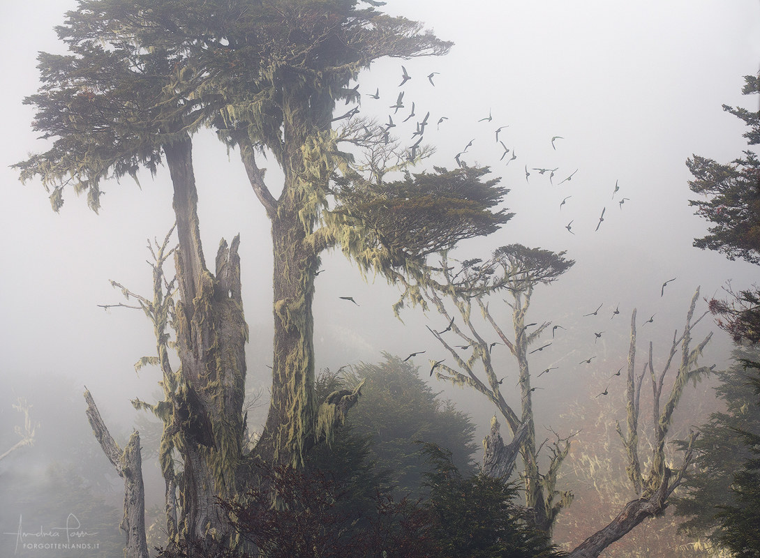 The birth of the world