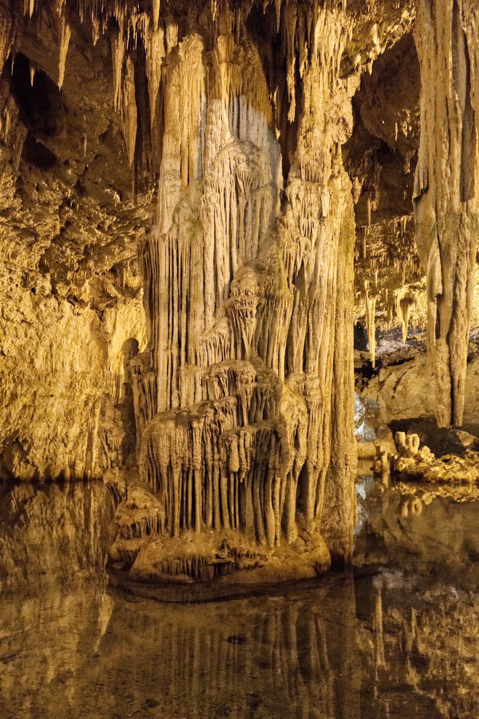 Grotte di Nettuno - Sala dell'Organo