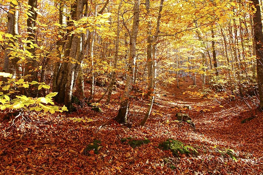 La Primavera dell'Inverno