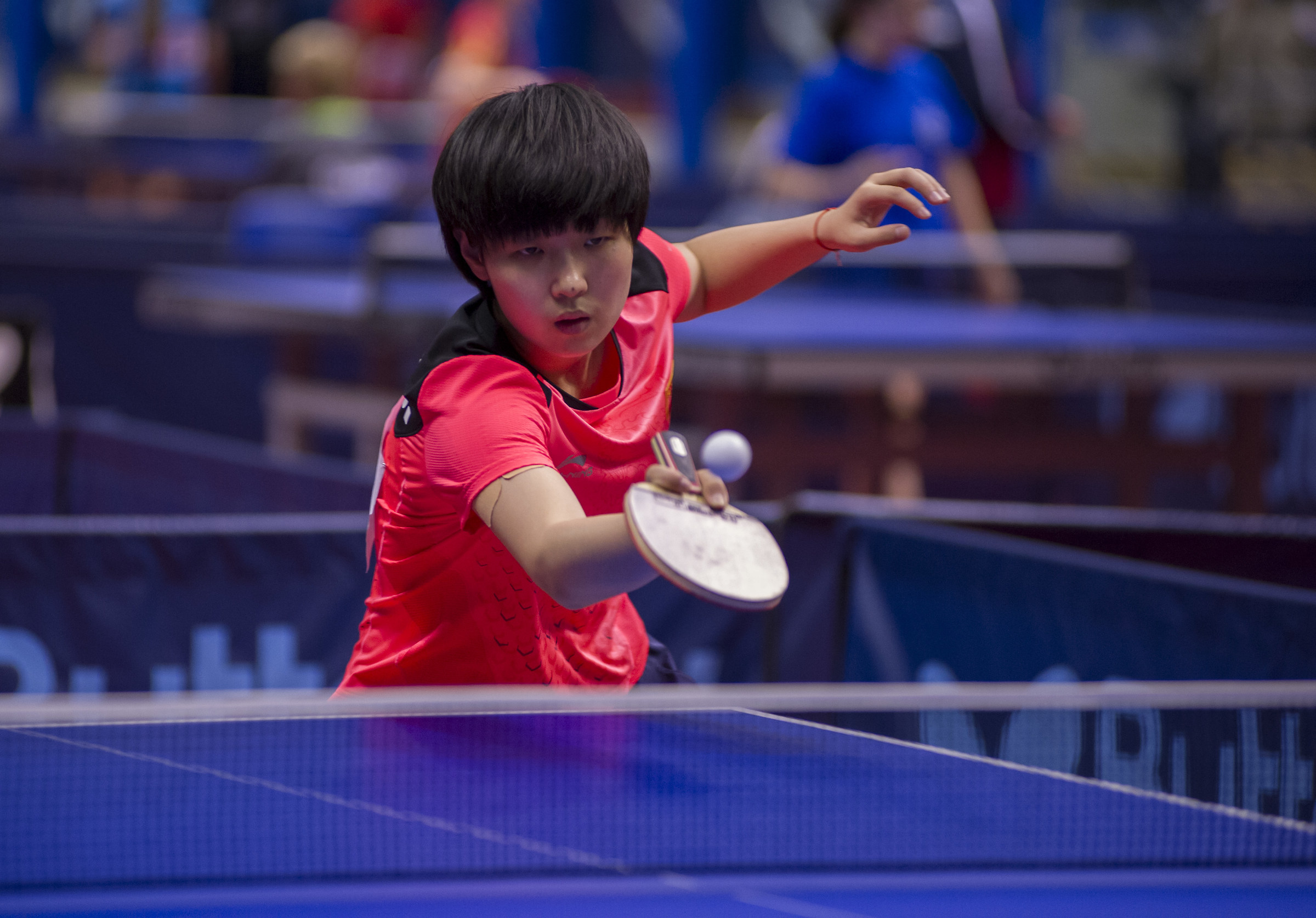 open d' Italia, Lignano sabbiadoro Marzo 2018