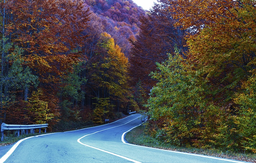 La strada per l'Autunno