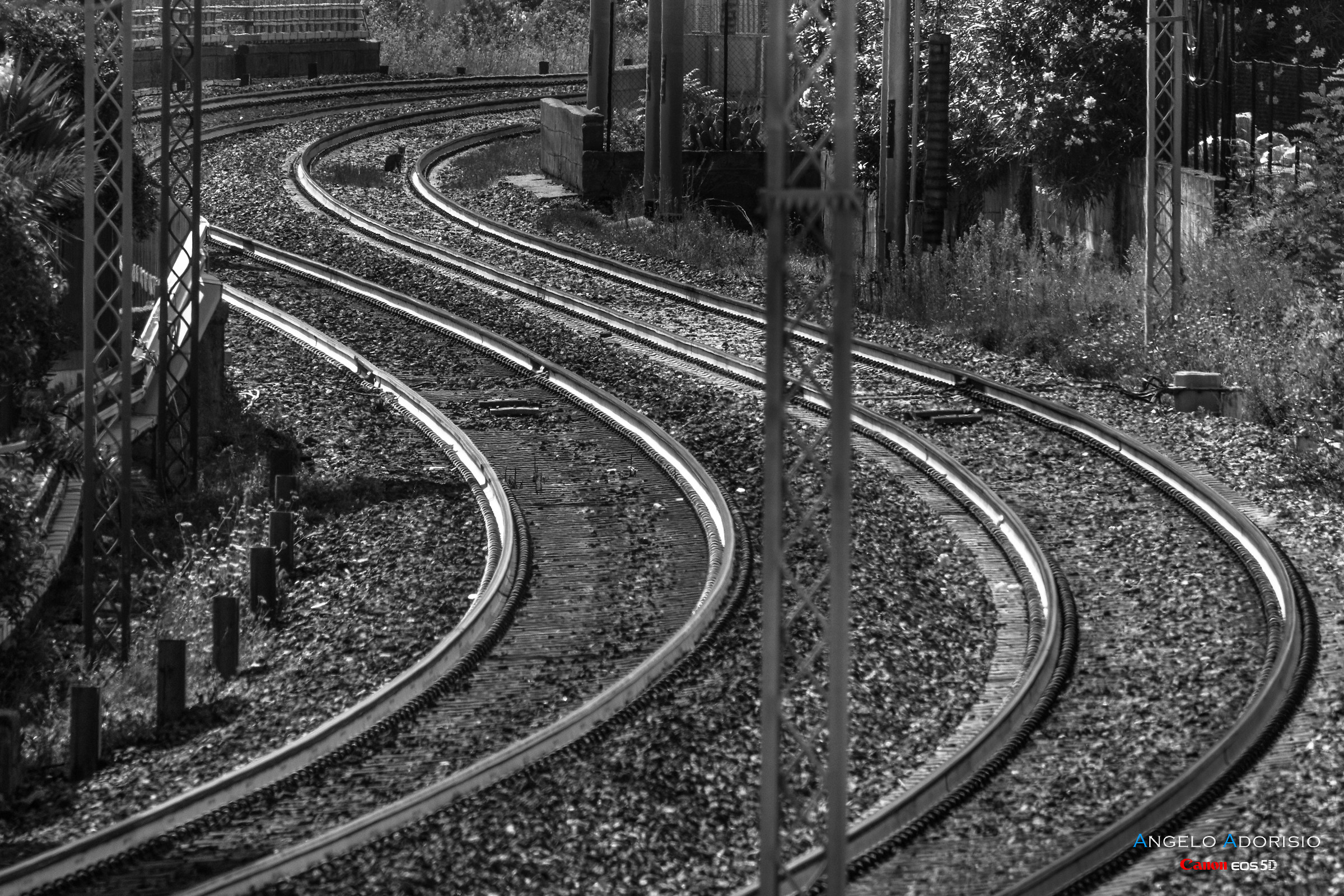 The charm of the railway