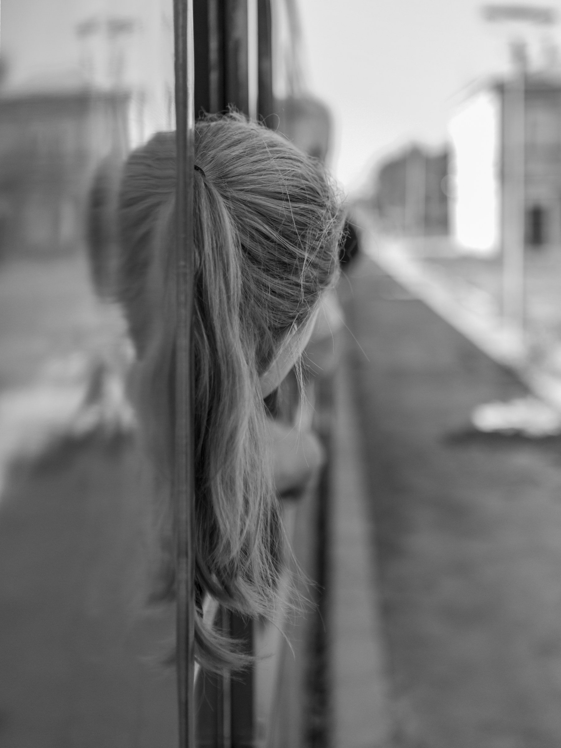 La ragazza del treno
