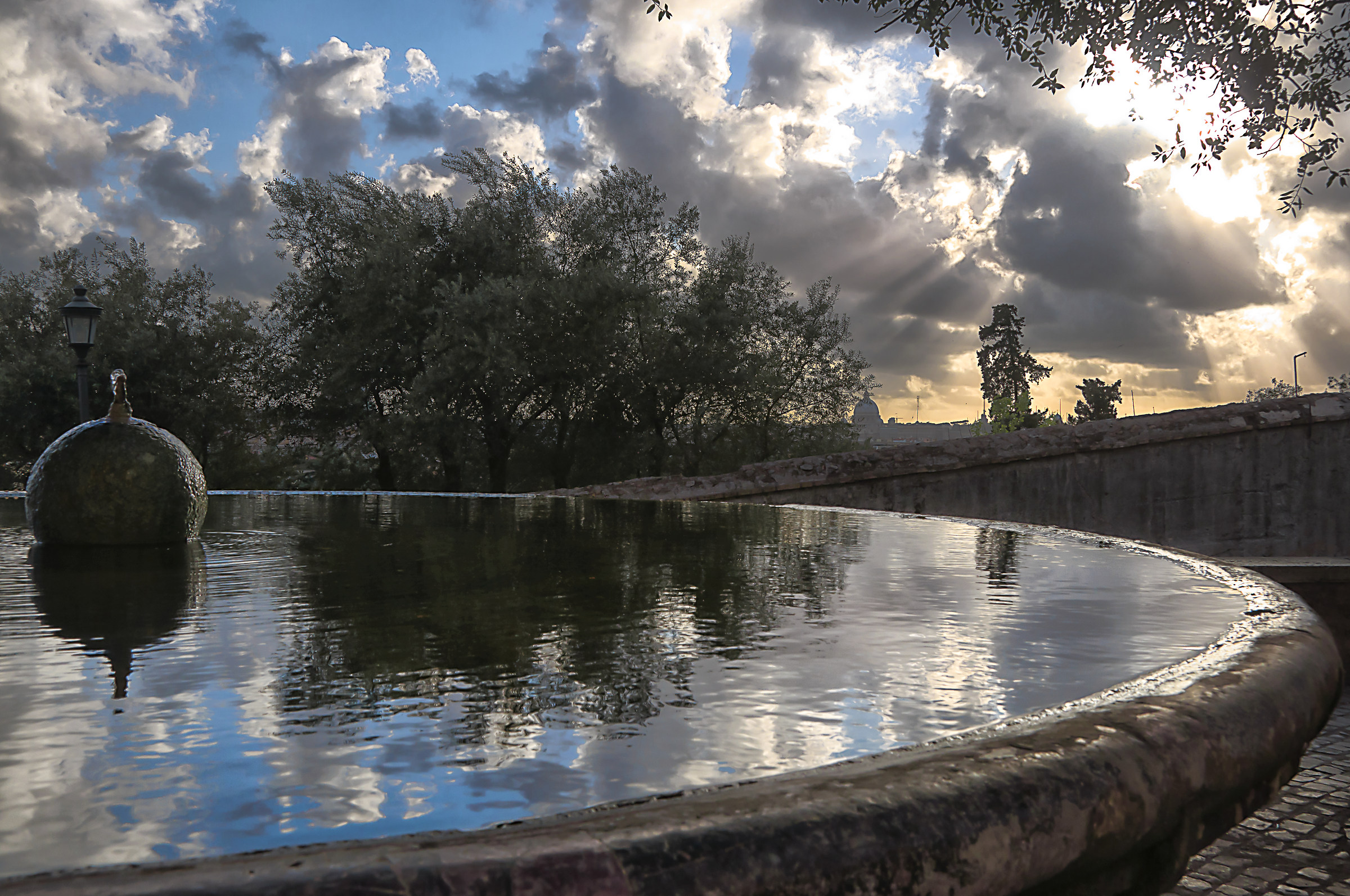 Reflections in the Water