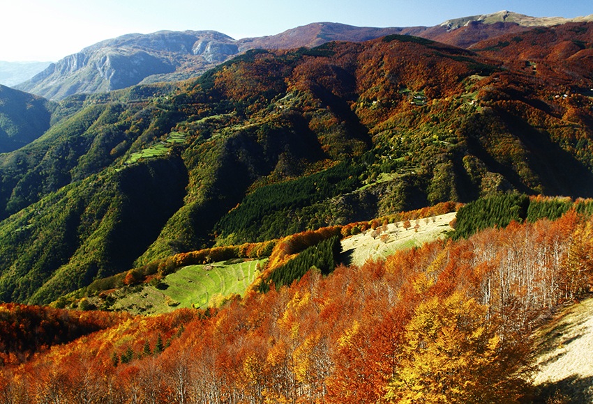 San Pellgrino in Alpe
