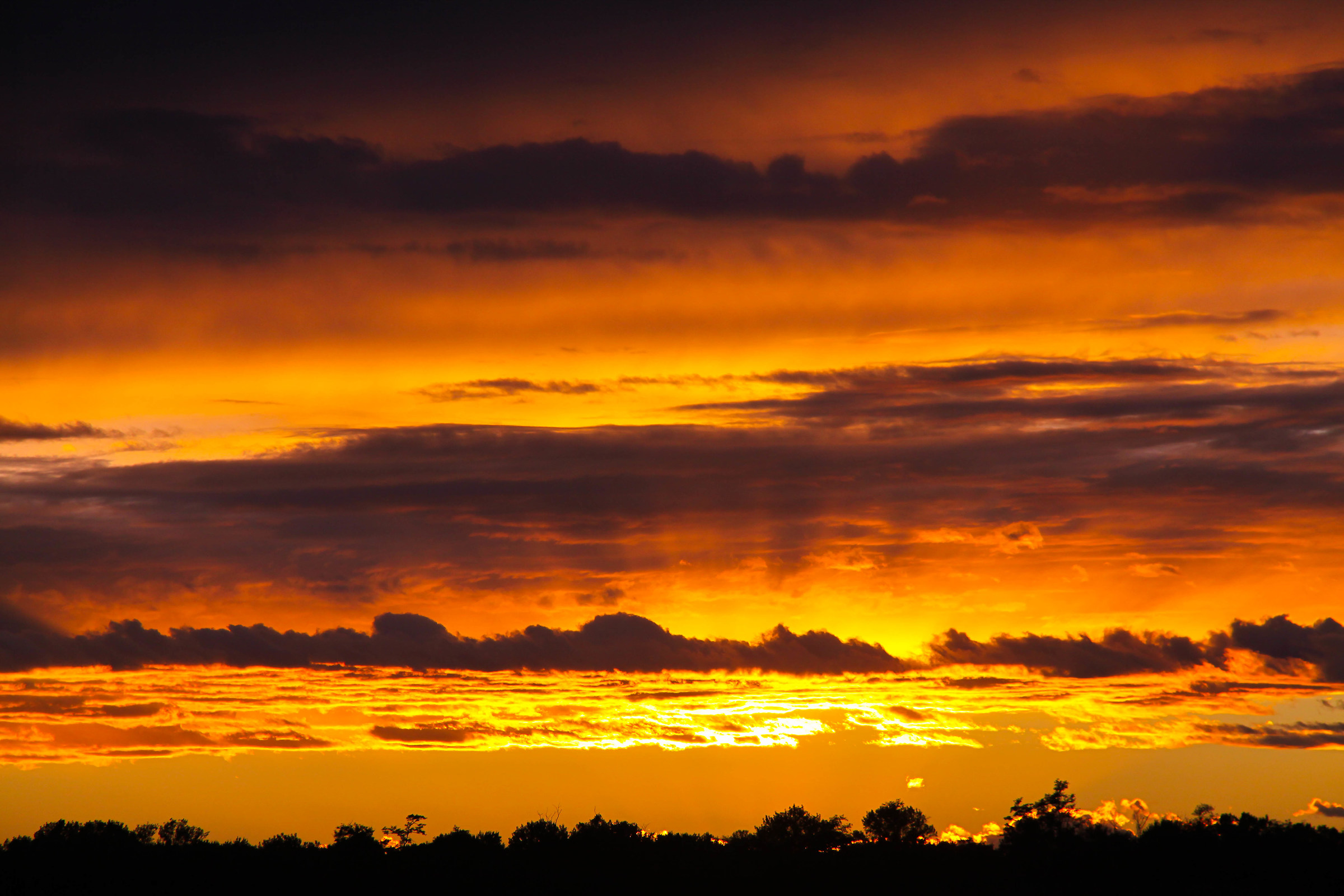 An ardent evening in August