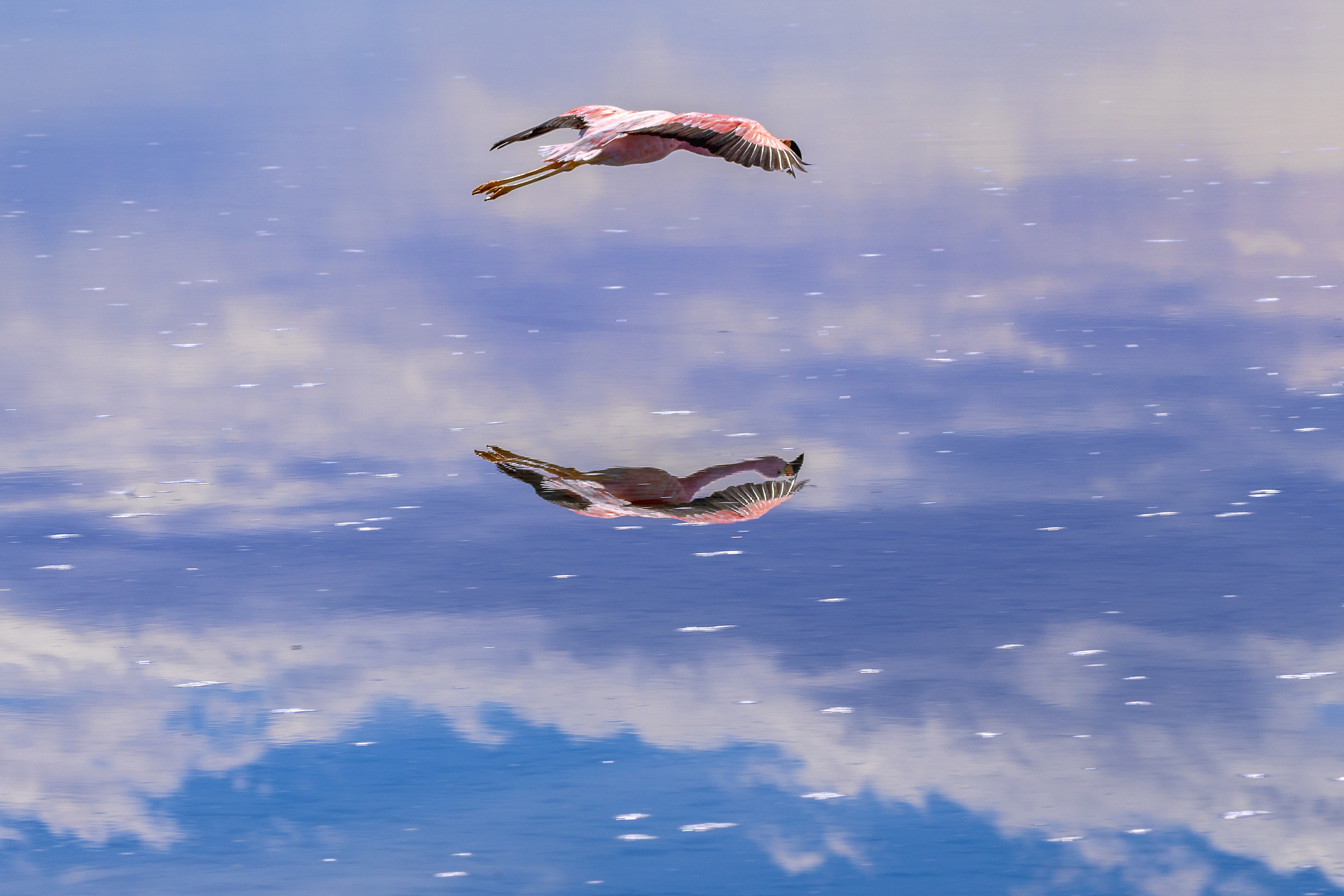 Salty Mirror