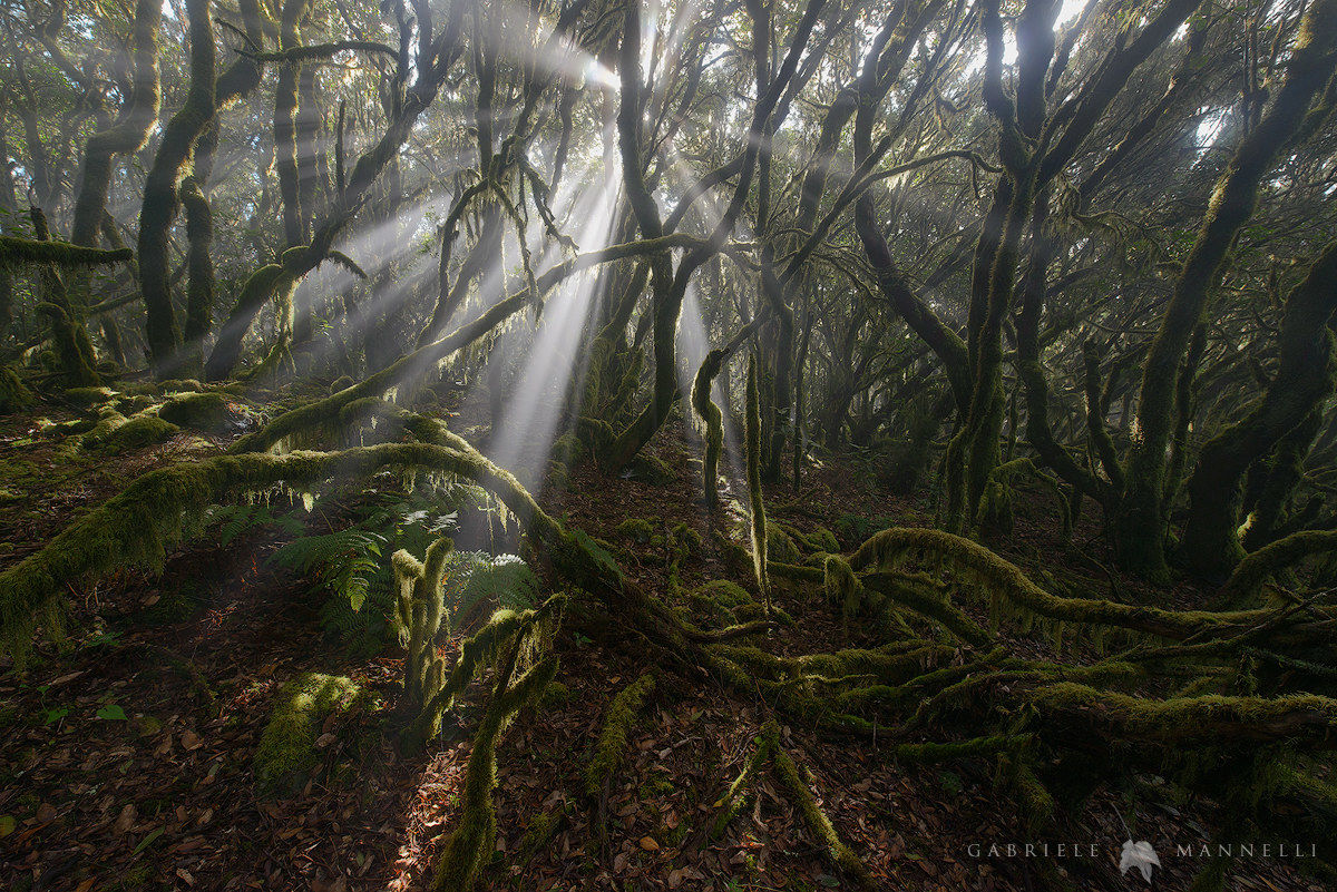 Viaggio psichedelico