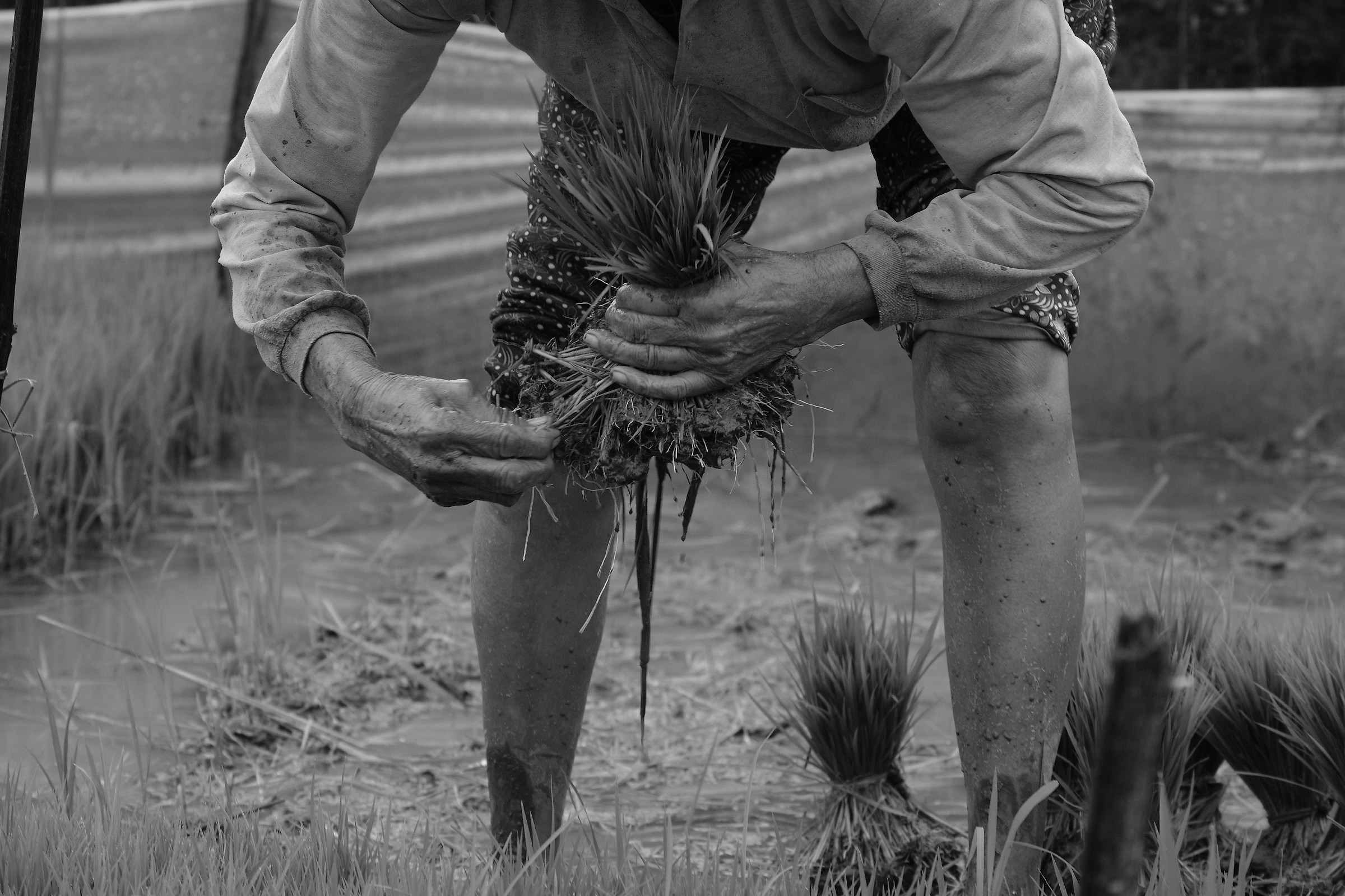 Crafts from other times