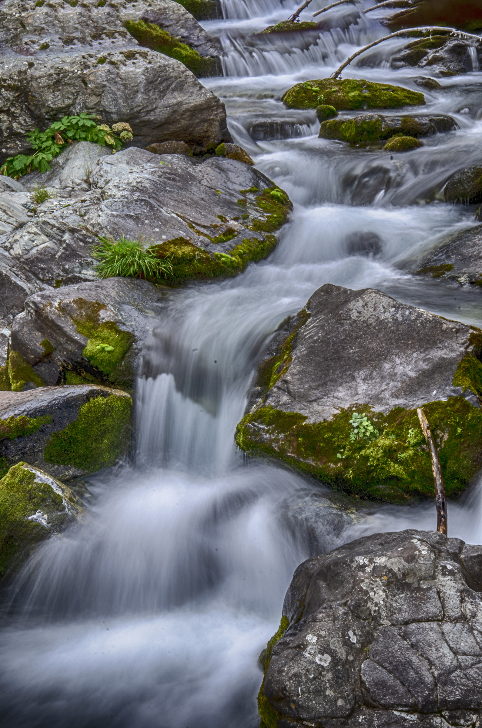 rusciello della Val Pellice