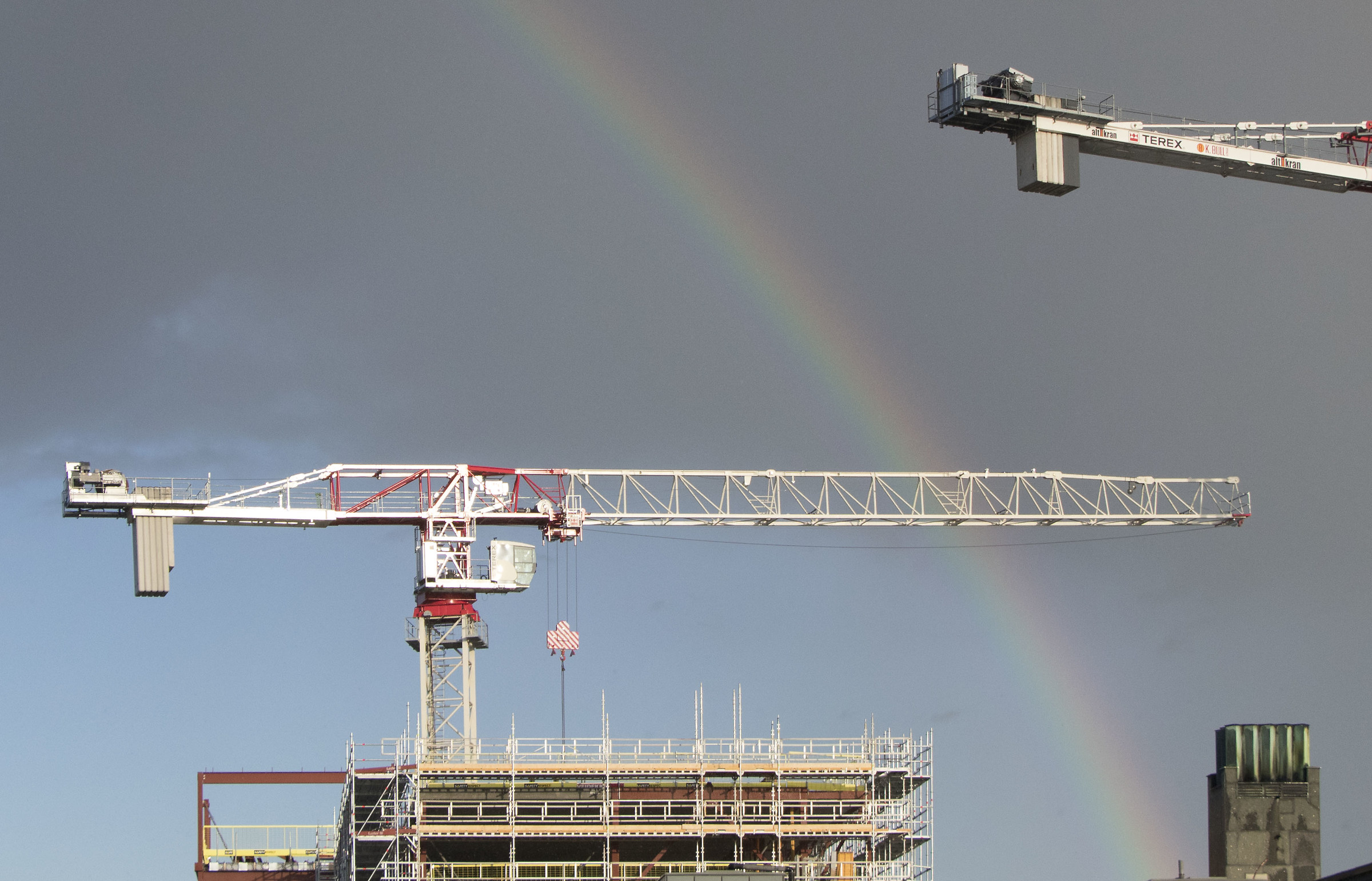 Oslo "Gru nel cielo "