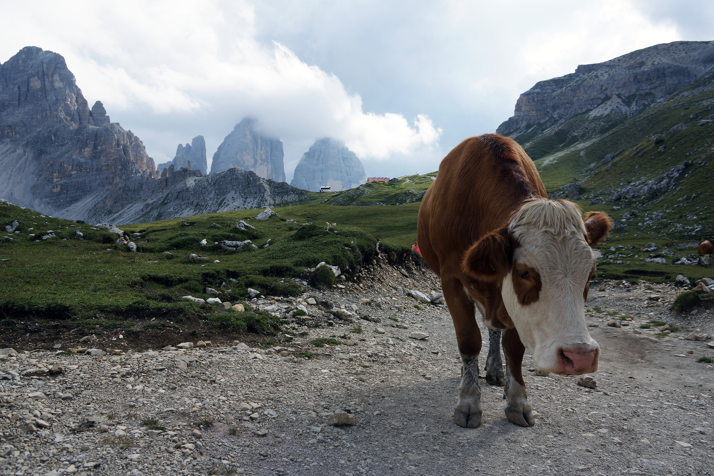 4....cime di Lavaredo!