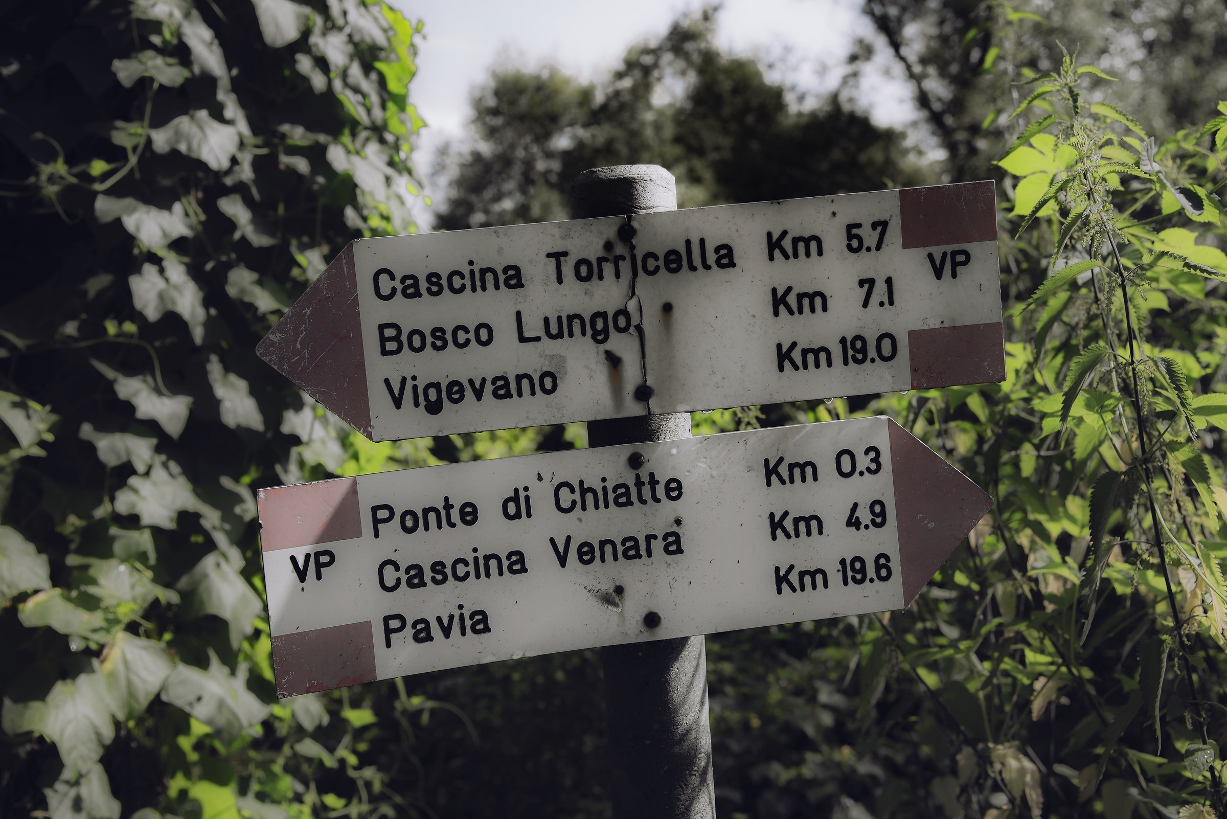 Centro Bosco Lomellina