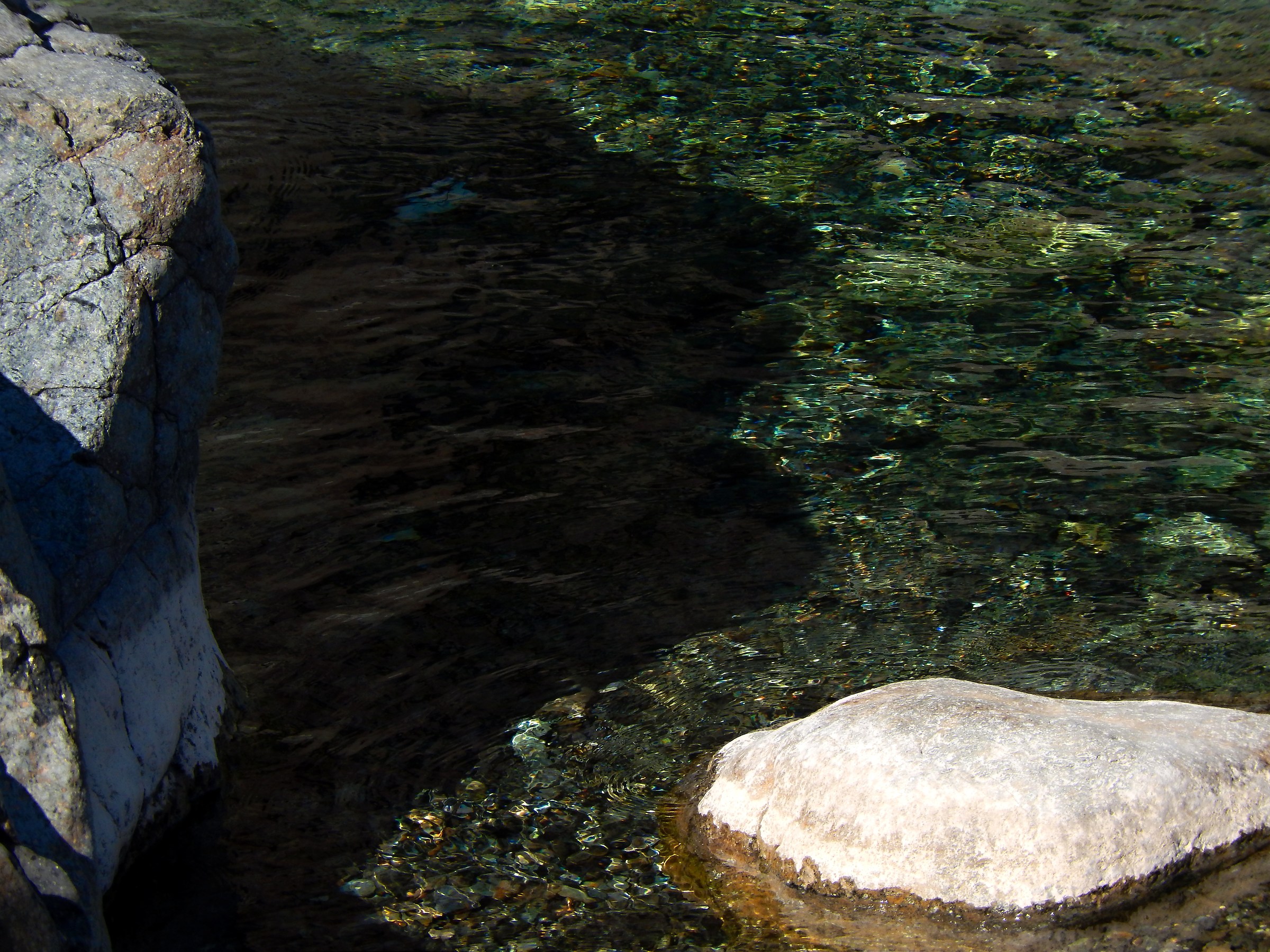 Urla “soffocate” ...