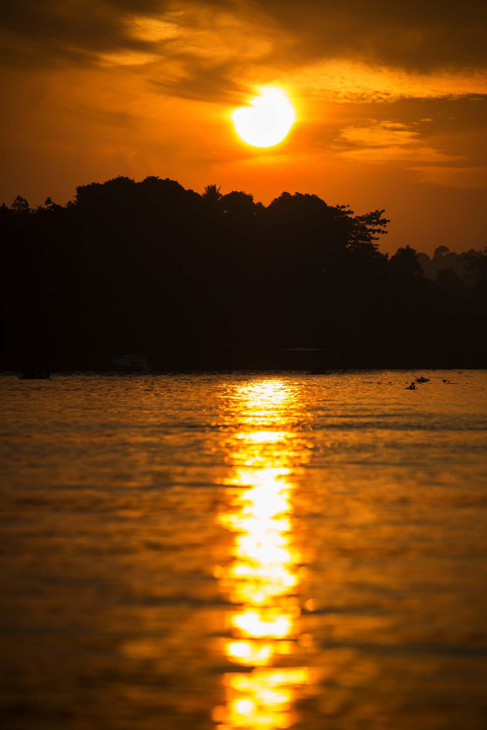 Alba sul Kinabatangan