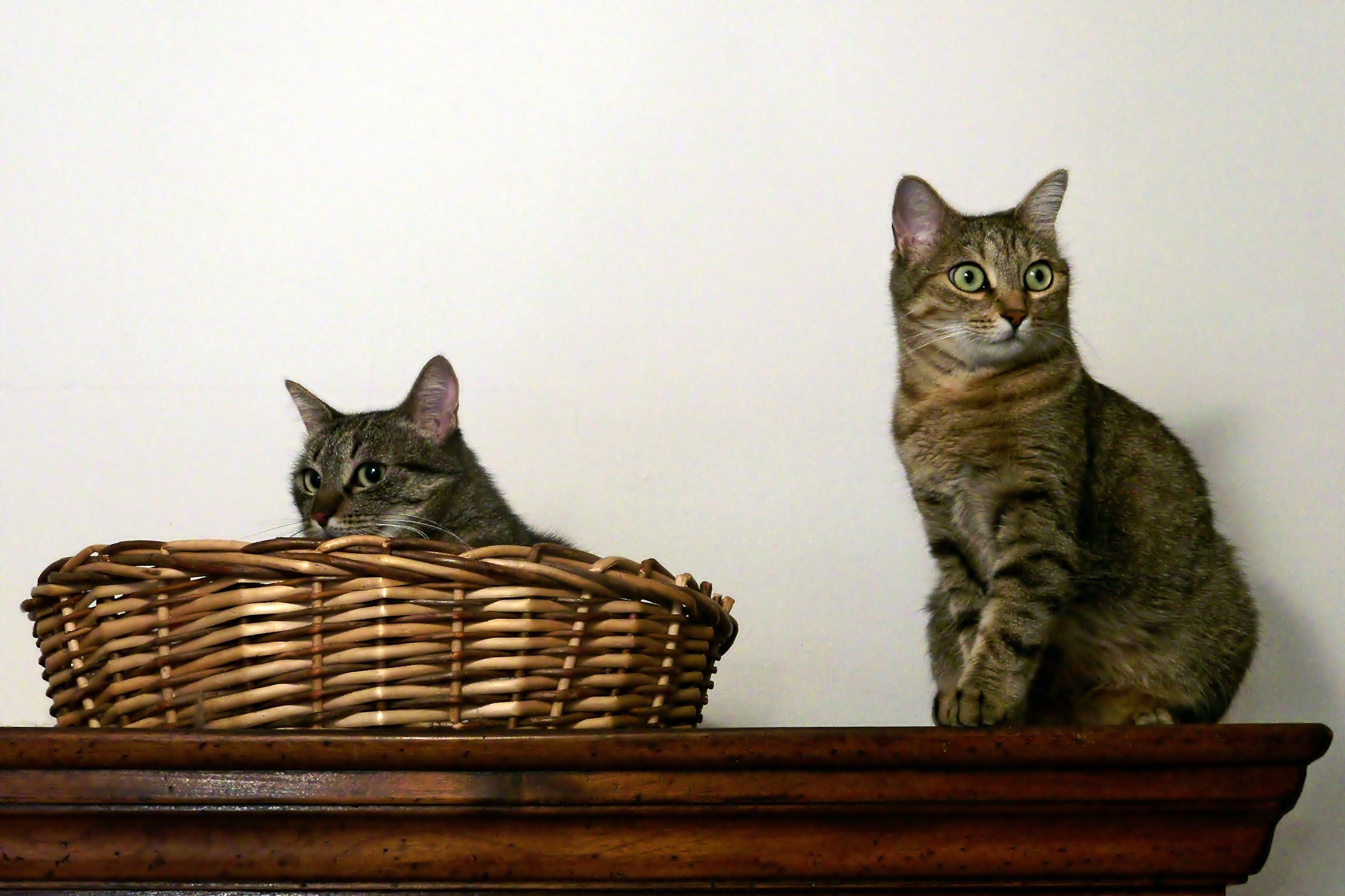 This is the hospitality!!!