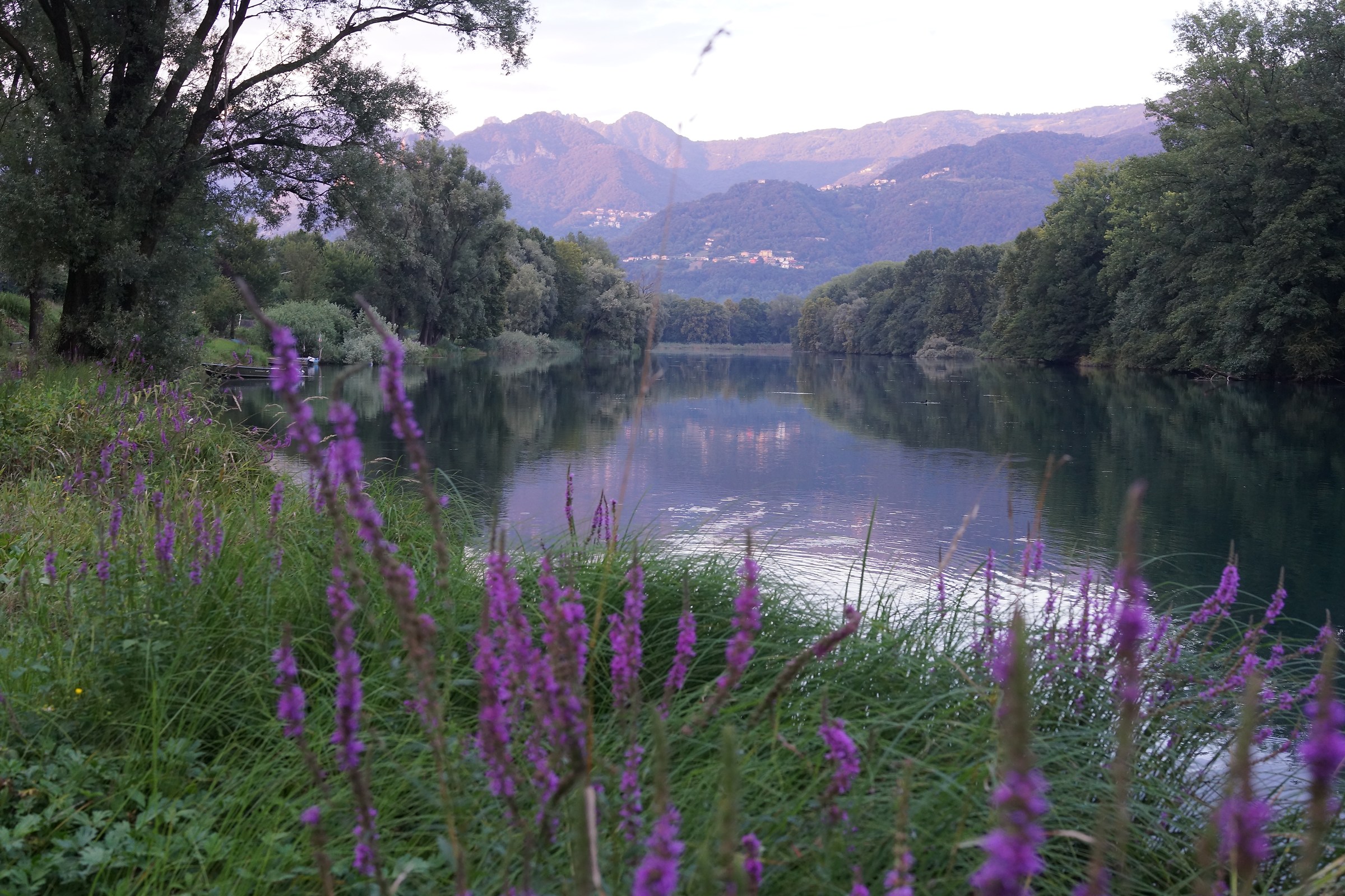 Adda, Reflections at sunset
