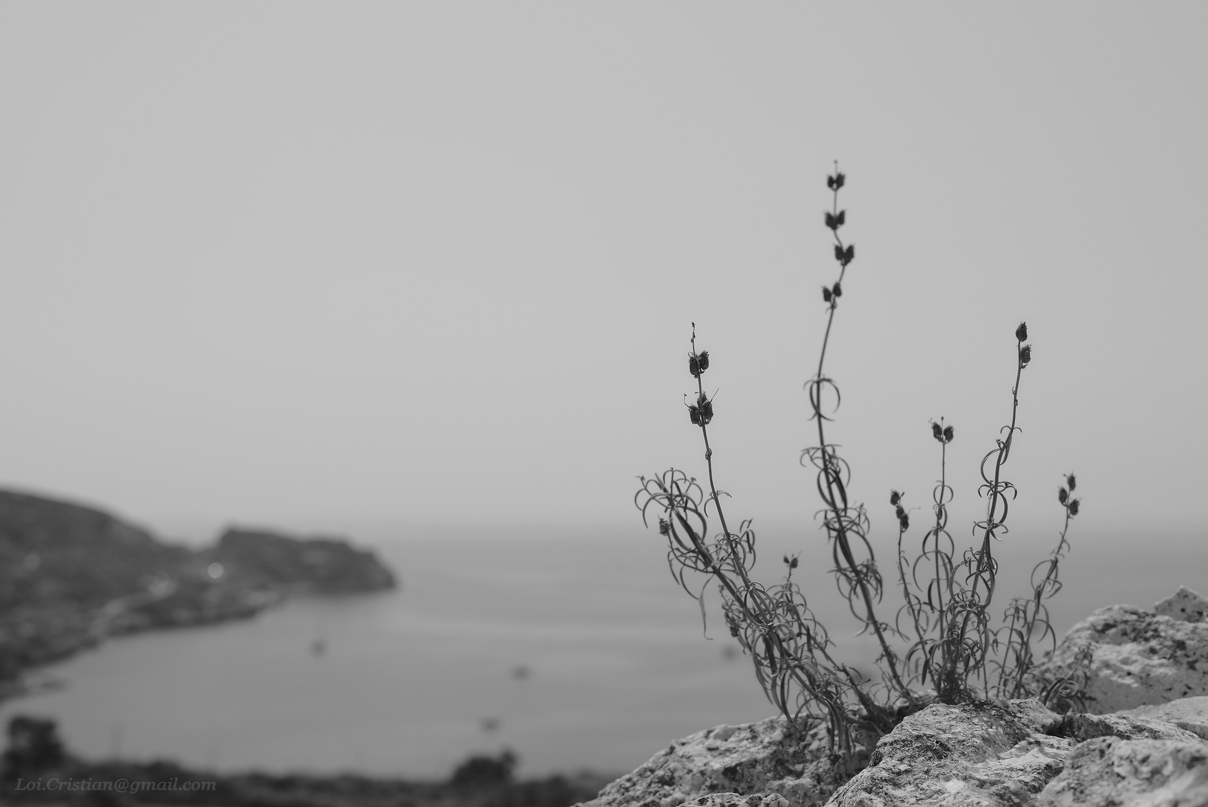 View from Colle di S. Elia