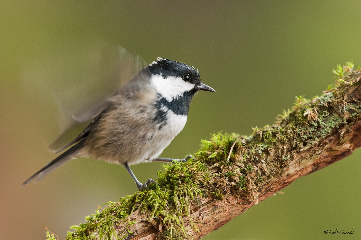 Con un tempo così!...in tutti i sensi!