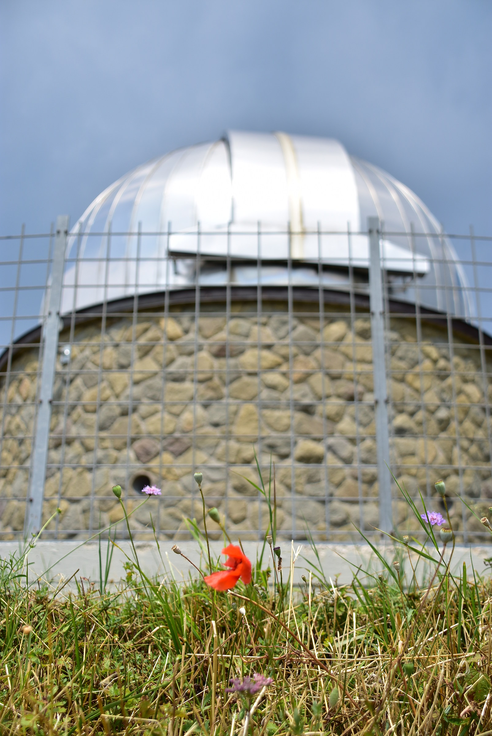 The little admires the immense