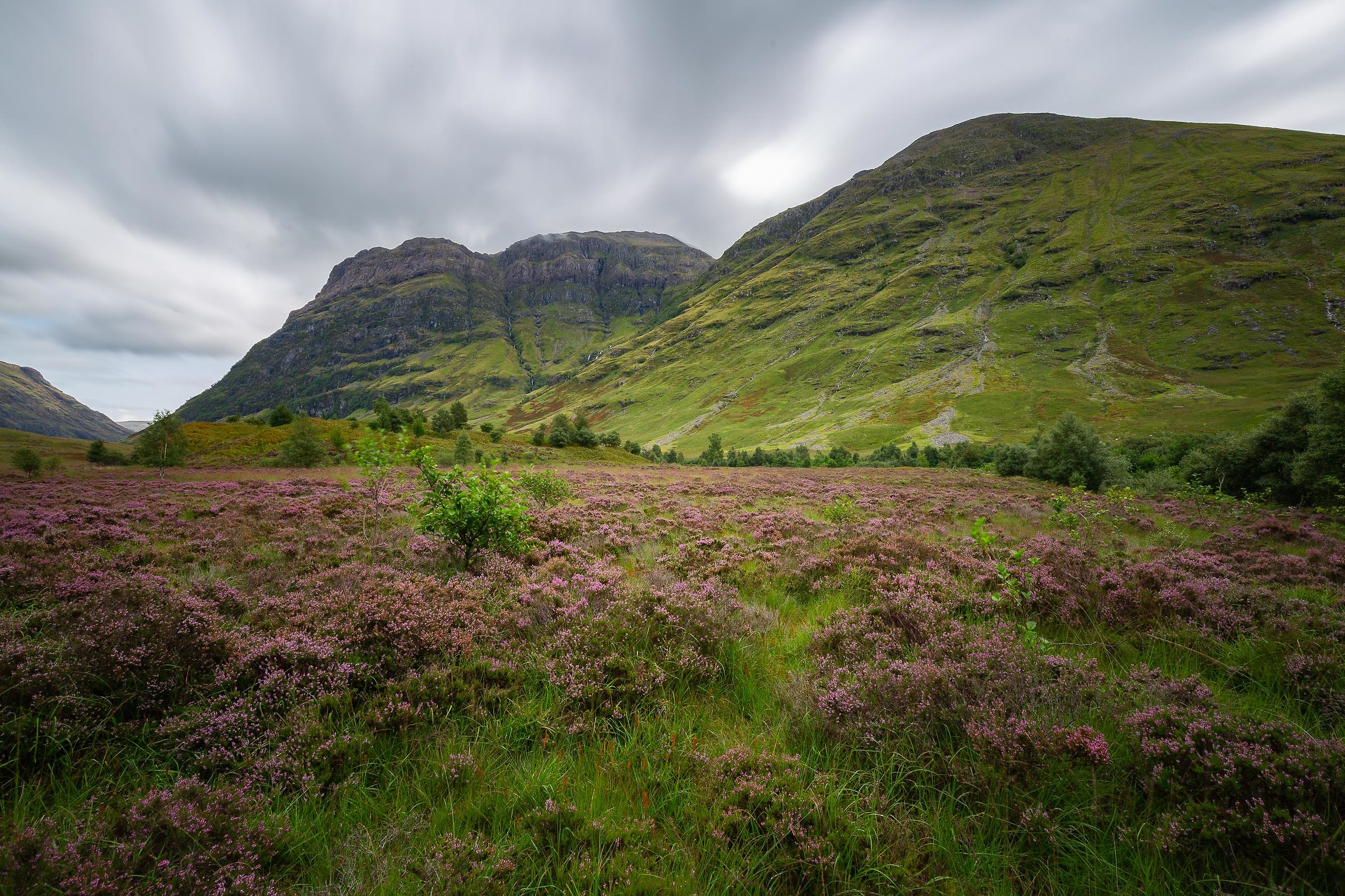 Glencoe
