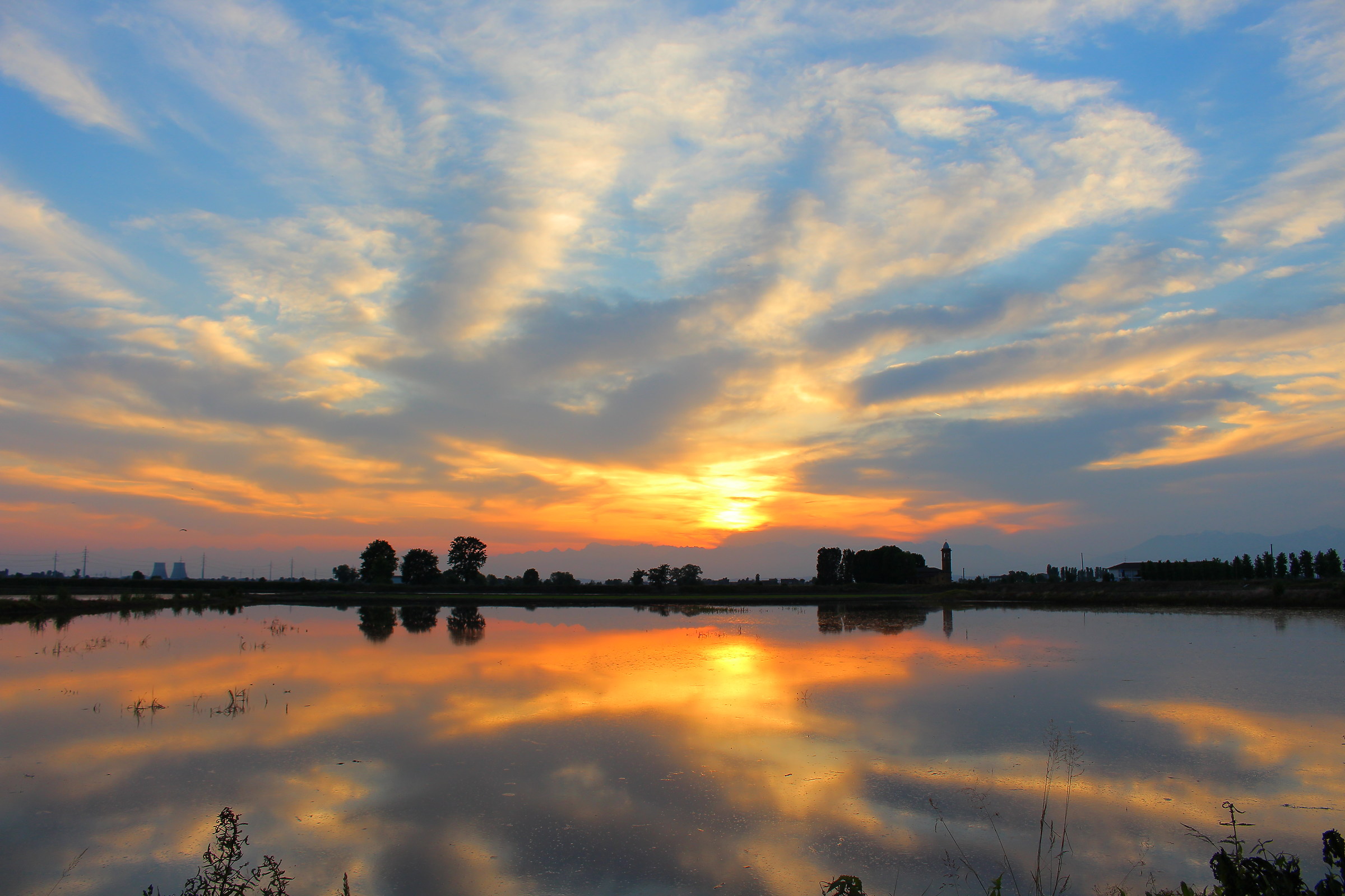 Paddy Vercellese, May 2018