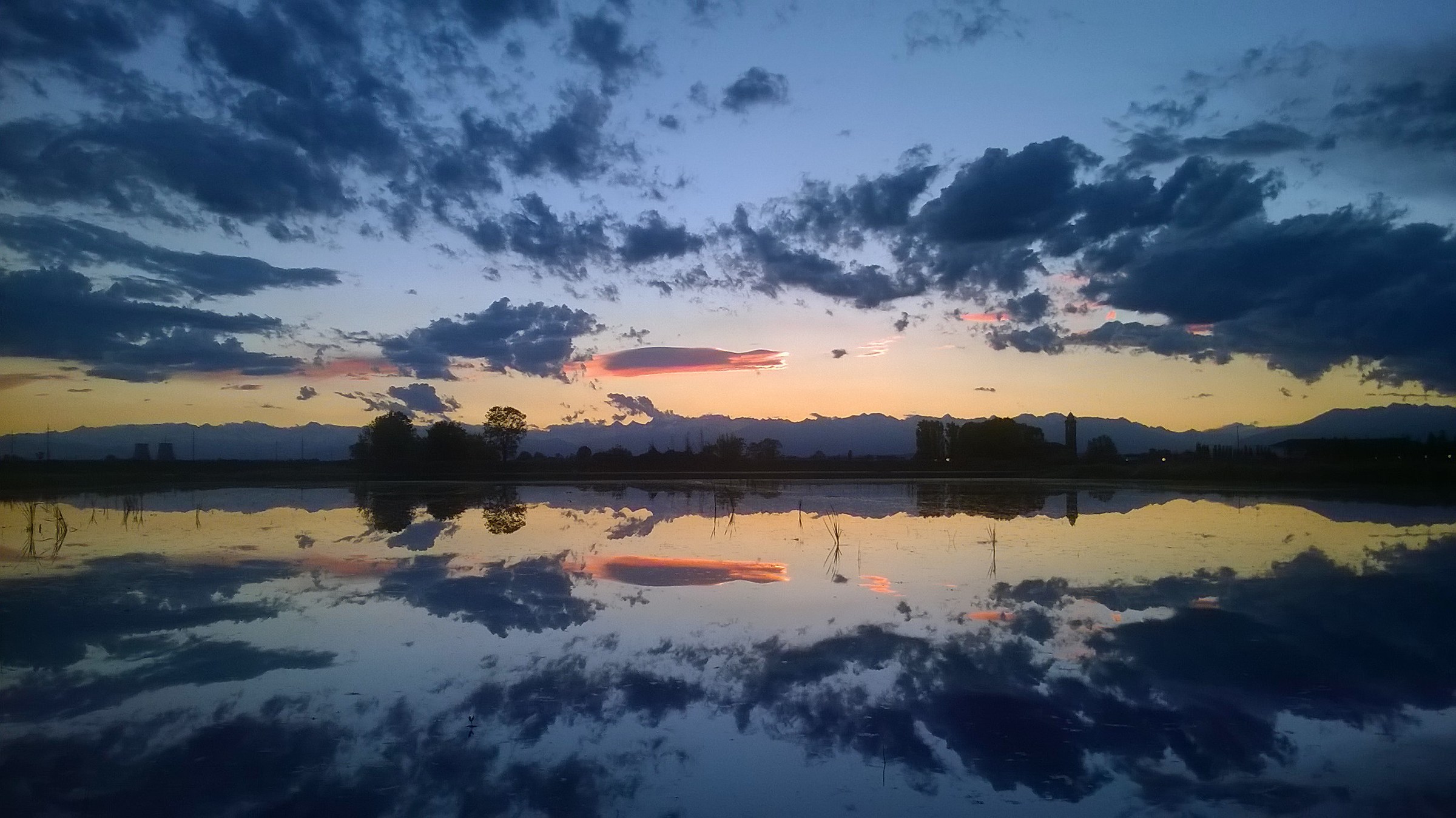 Rice Paddy Vercellese-2017-taken with Lumia 515