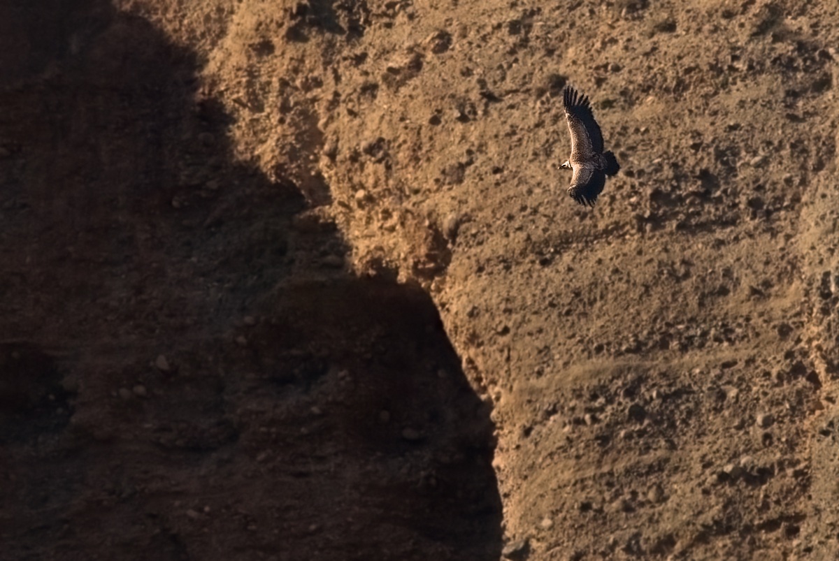 Arrivederci all'anno prossimo