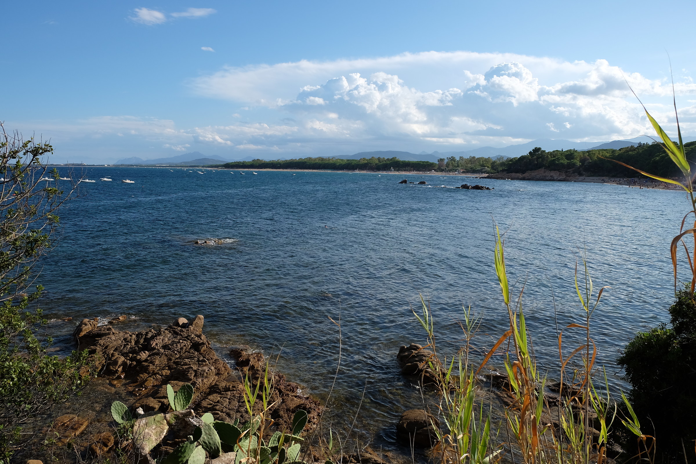 La pace in uno scatto