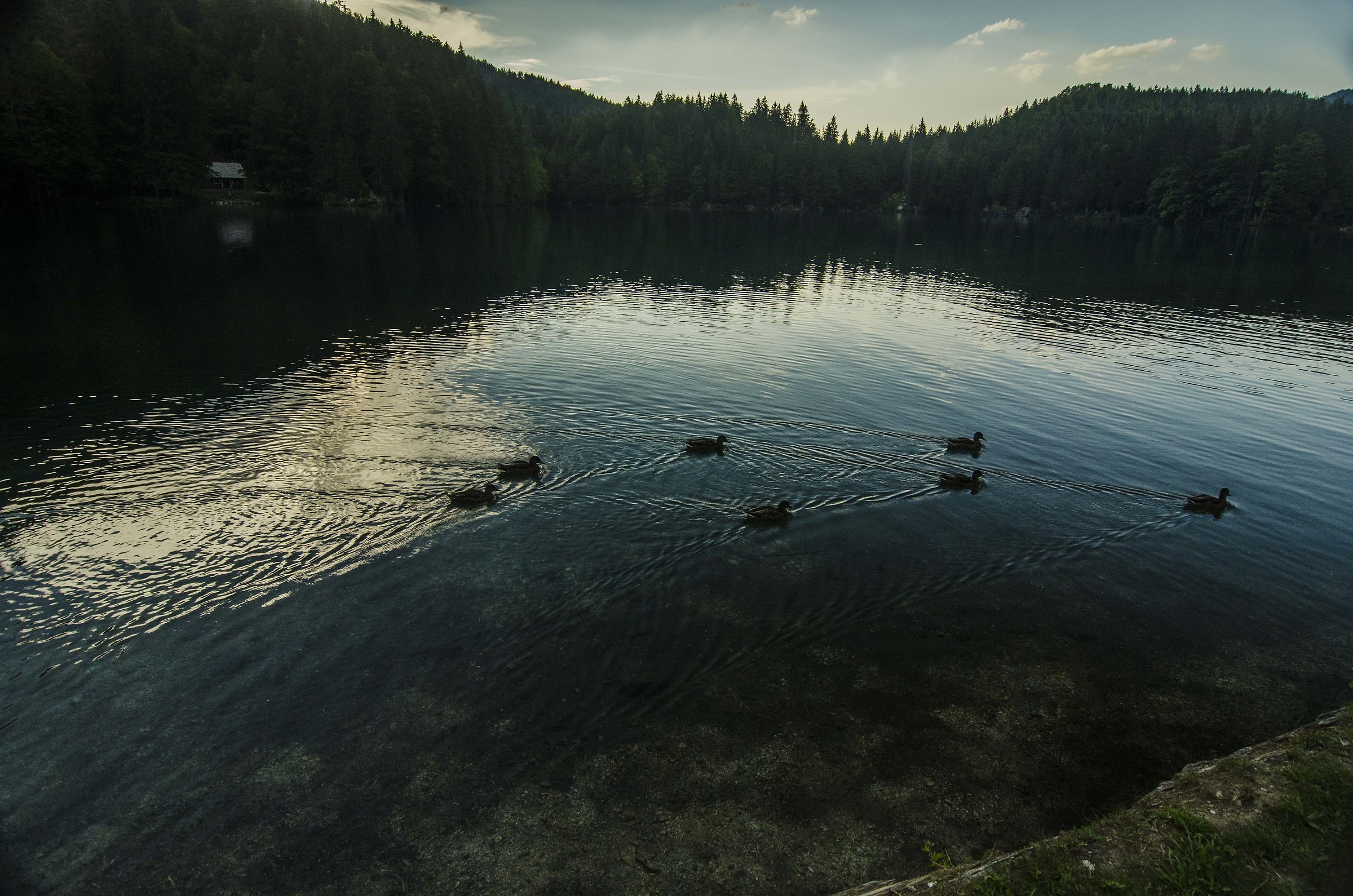 Laghi di Fusine