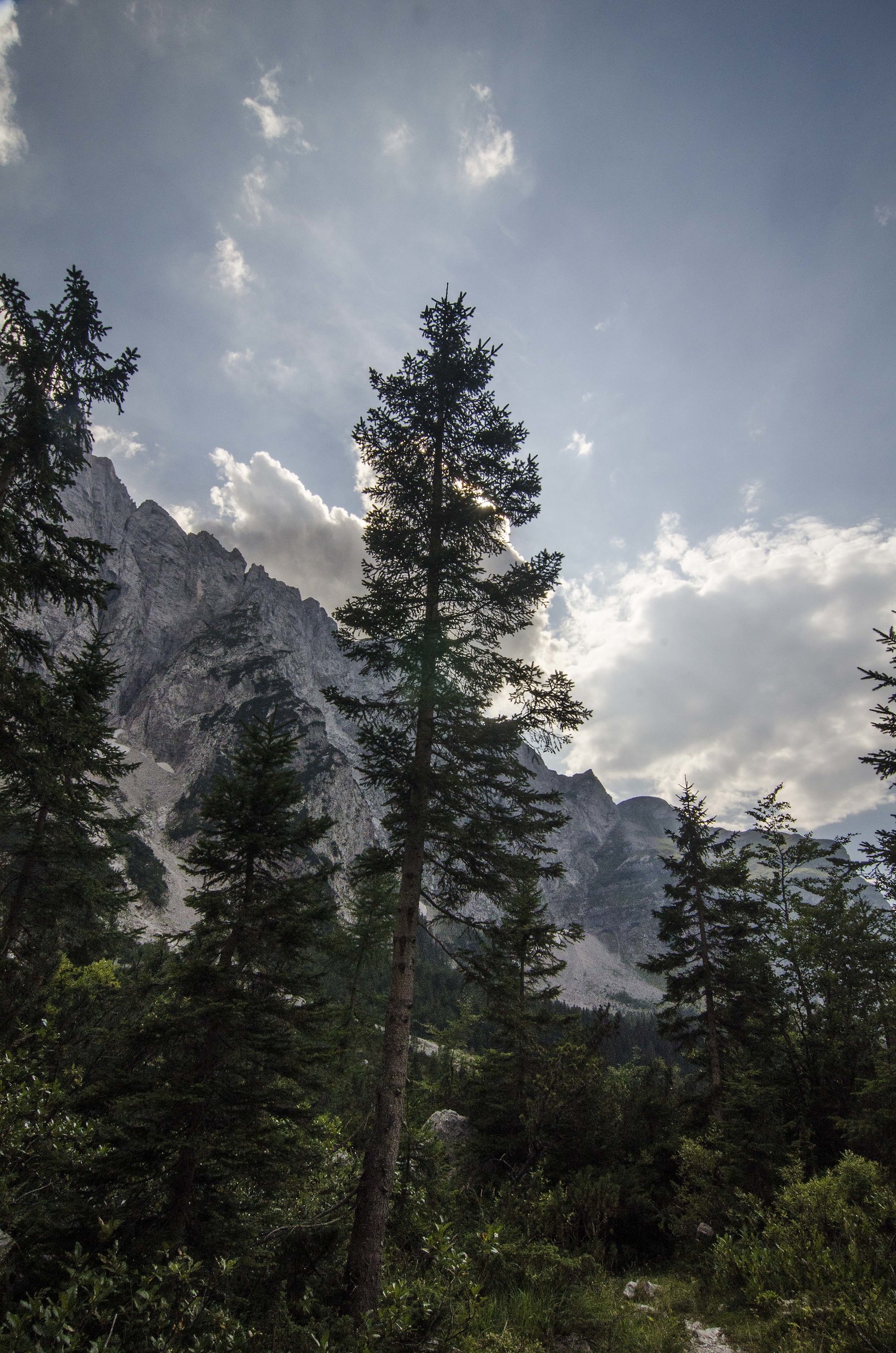 Sotto il MAngart - Alpi Giulie