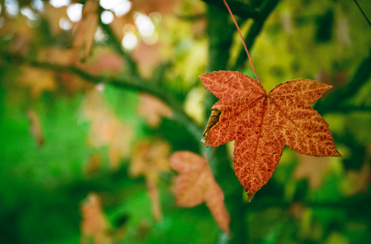 The End is the Beginning...